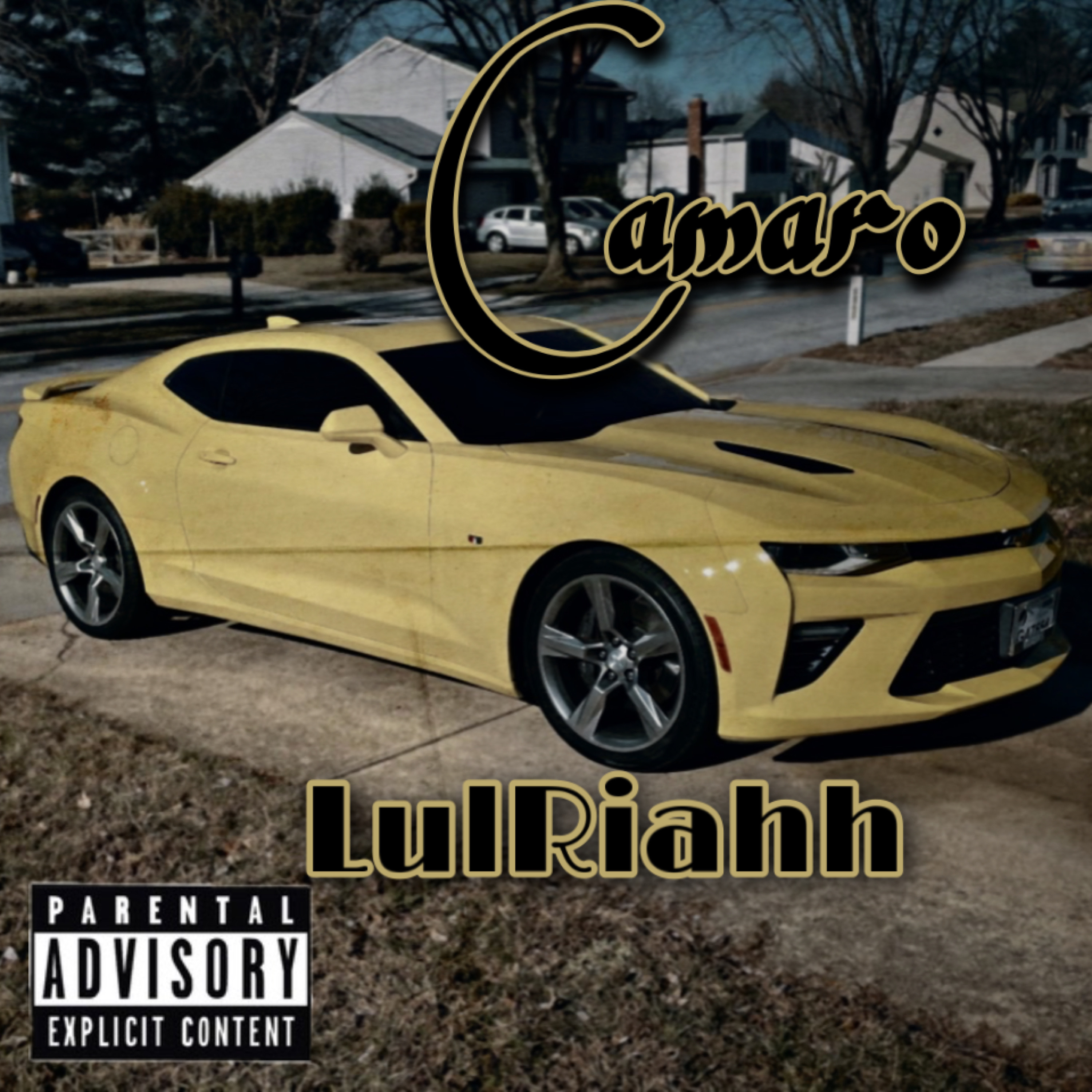 Camaro artwork