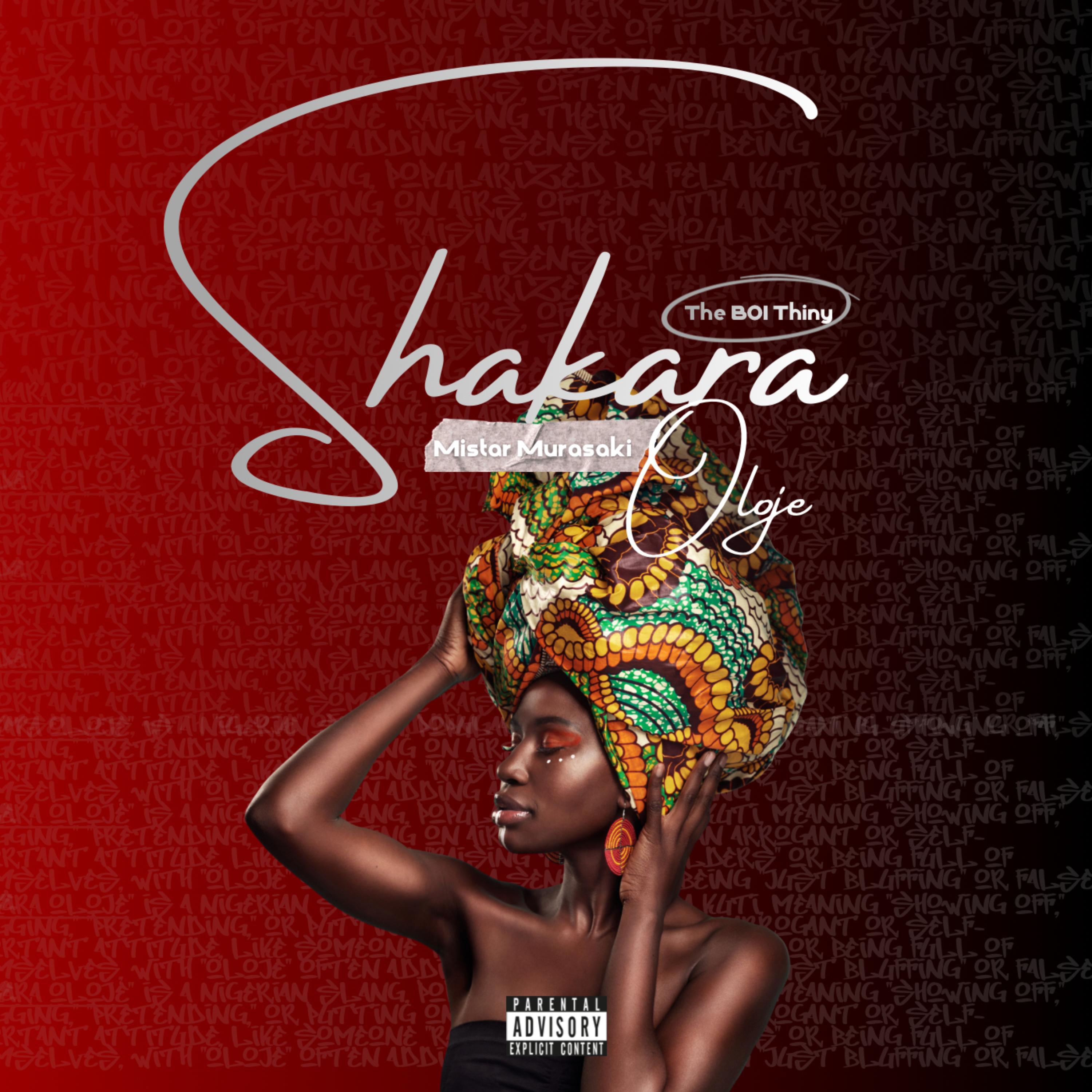 SHAKARA OLOJE artwork