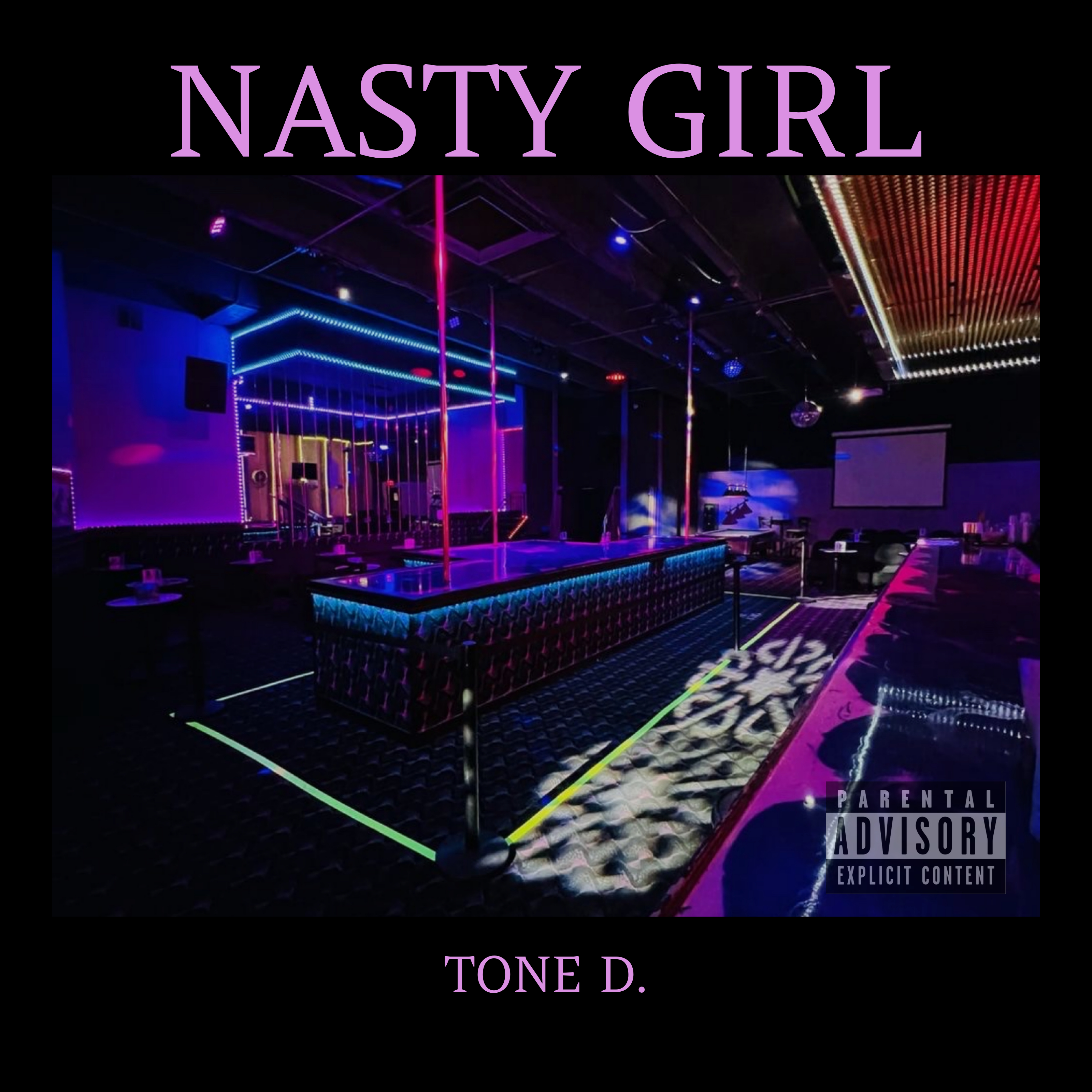 Nasty Girl by Tone D. cover art