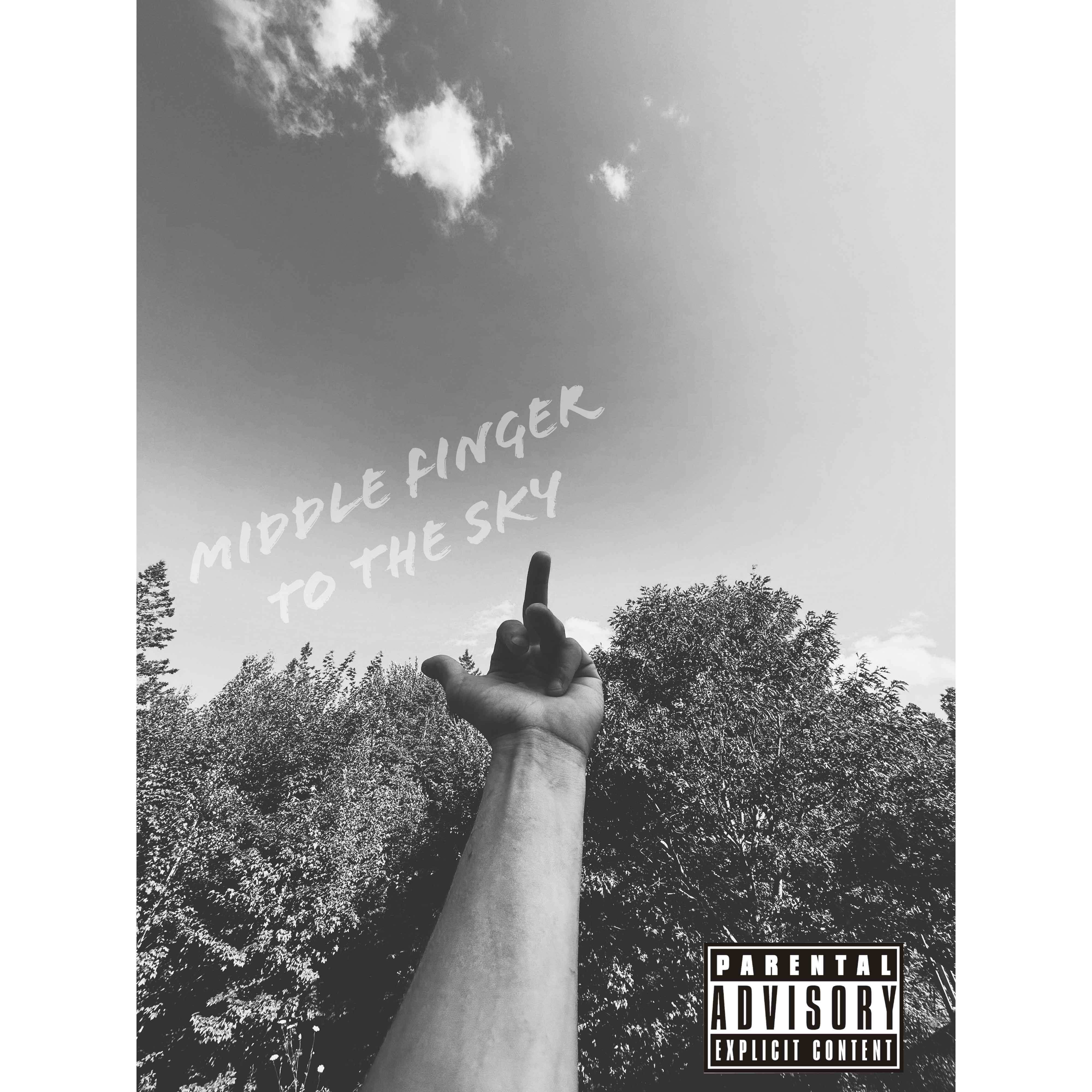 Middle Finger To The Skey artwork
