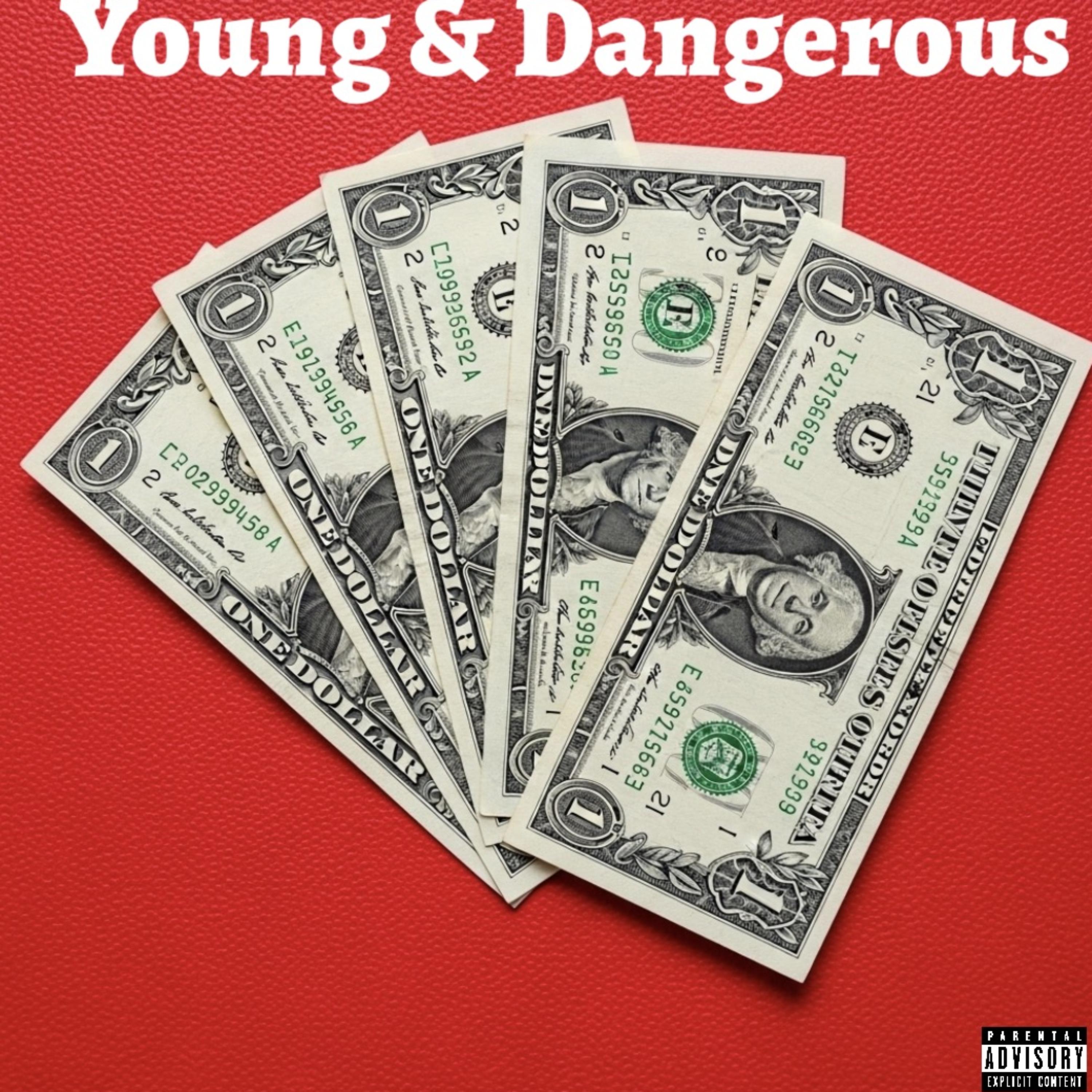 Young & Dangerous artwork