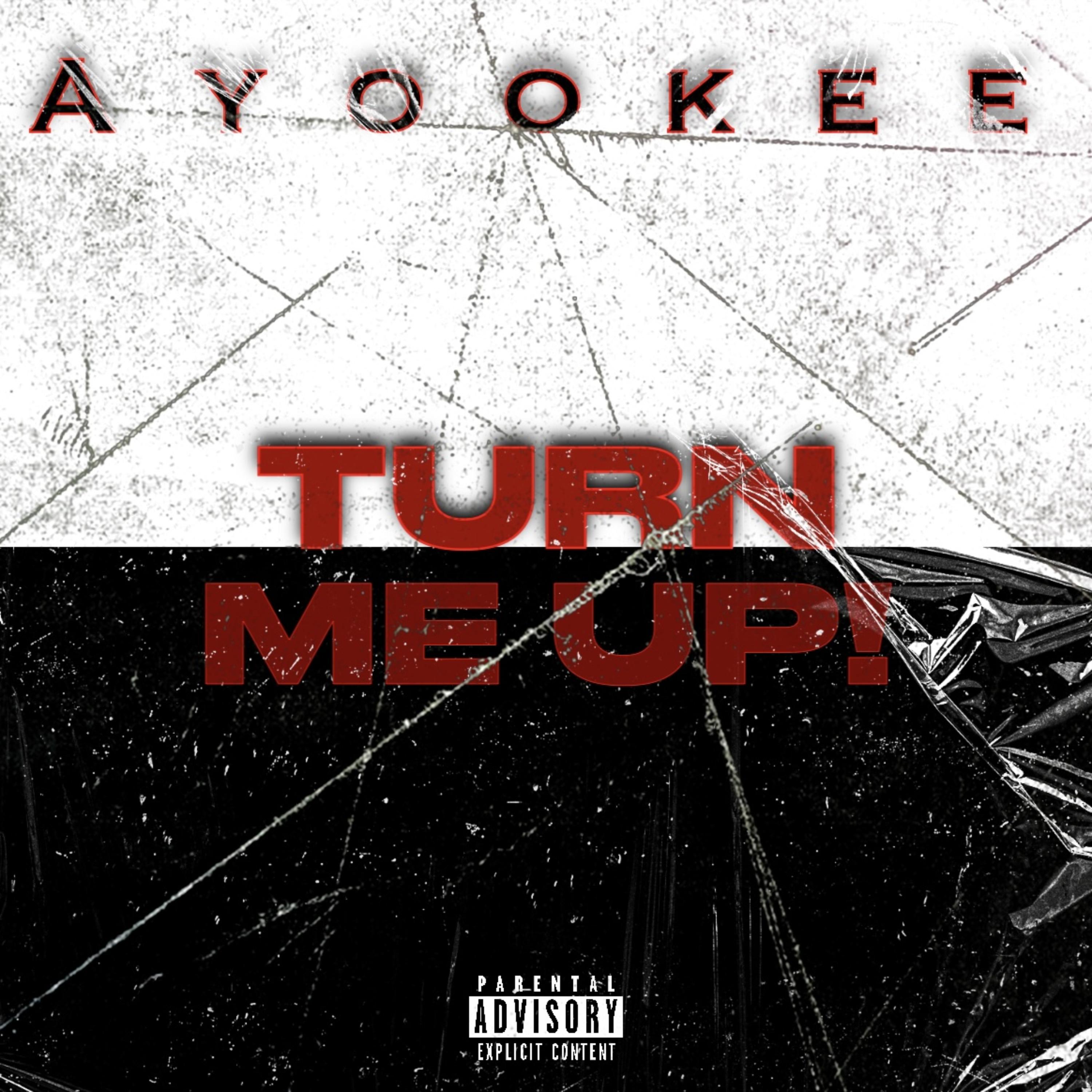 TURN ME UP! artwork