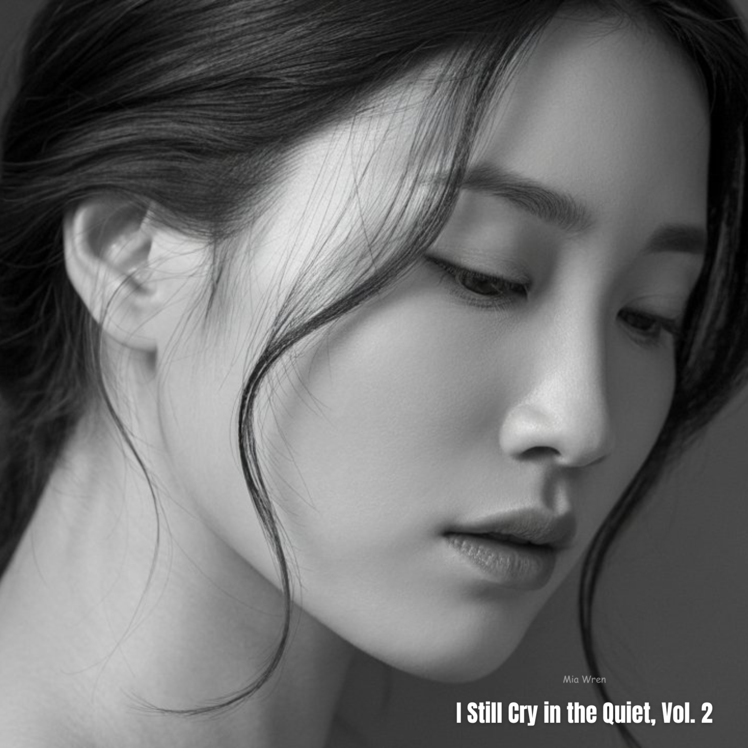 I Still Cry in the Quiet, Vol. 2 artwork