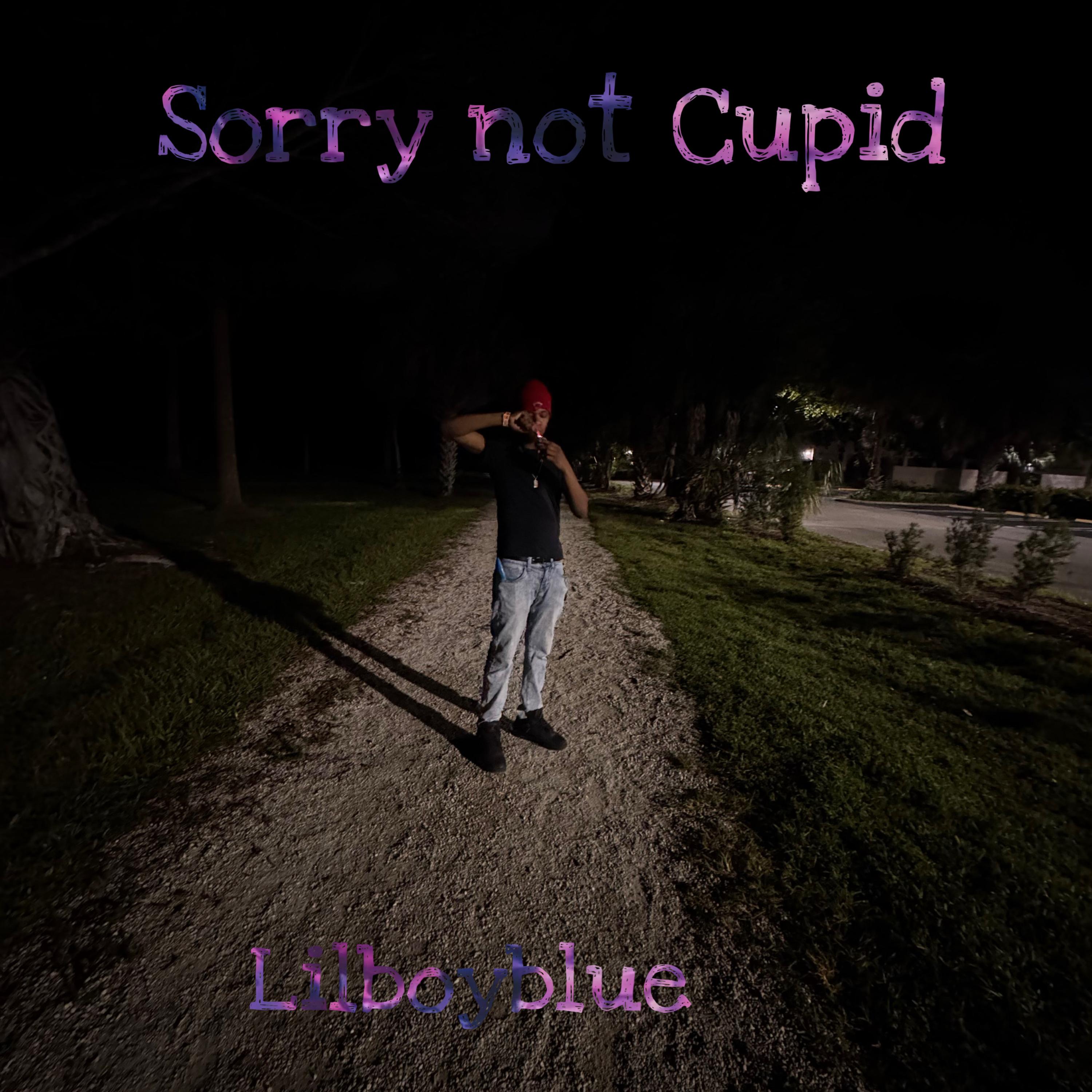 Sorry Not Cupid artwork