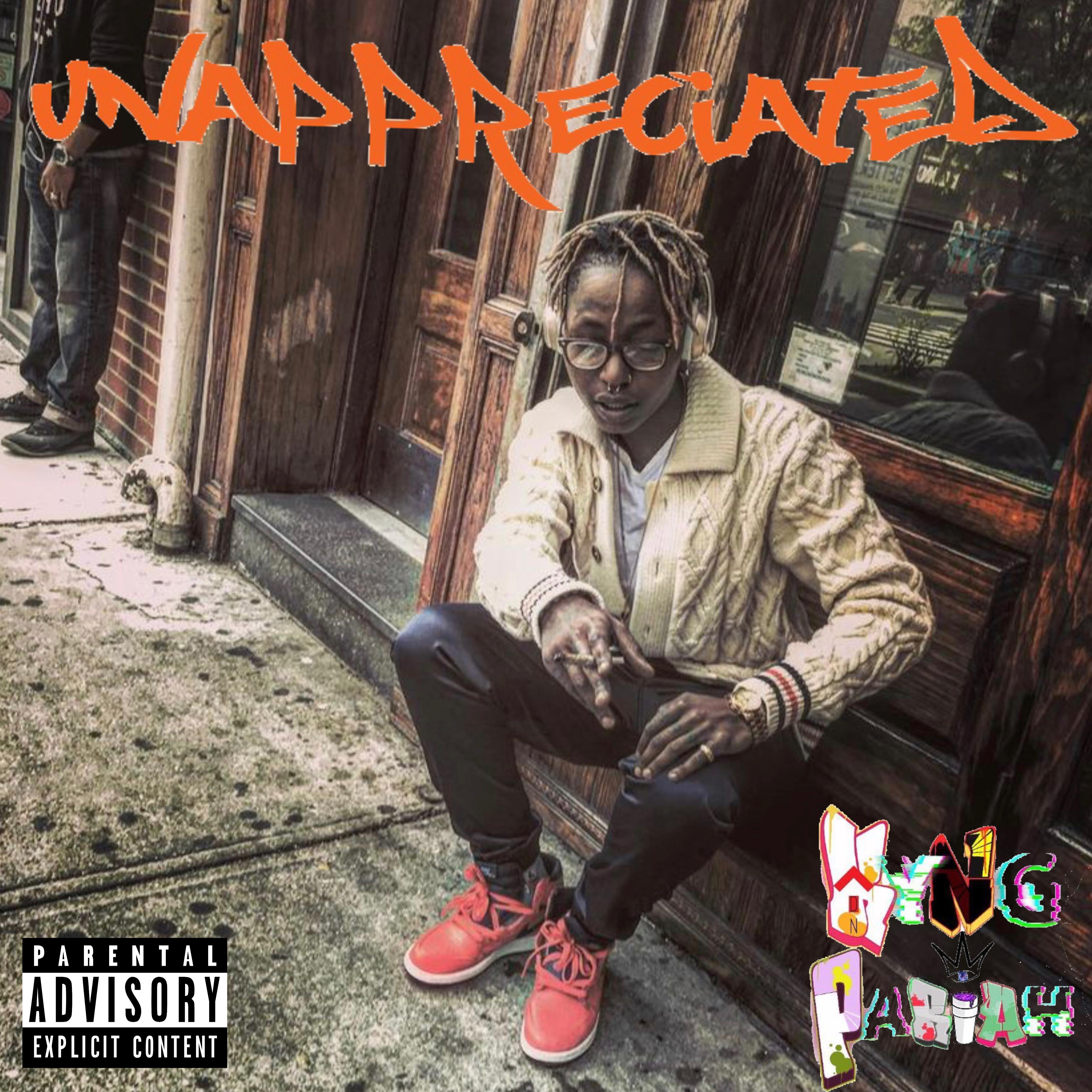 UnAppreciated Instrumental artwork