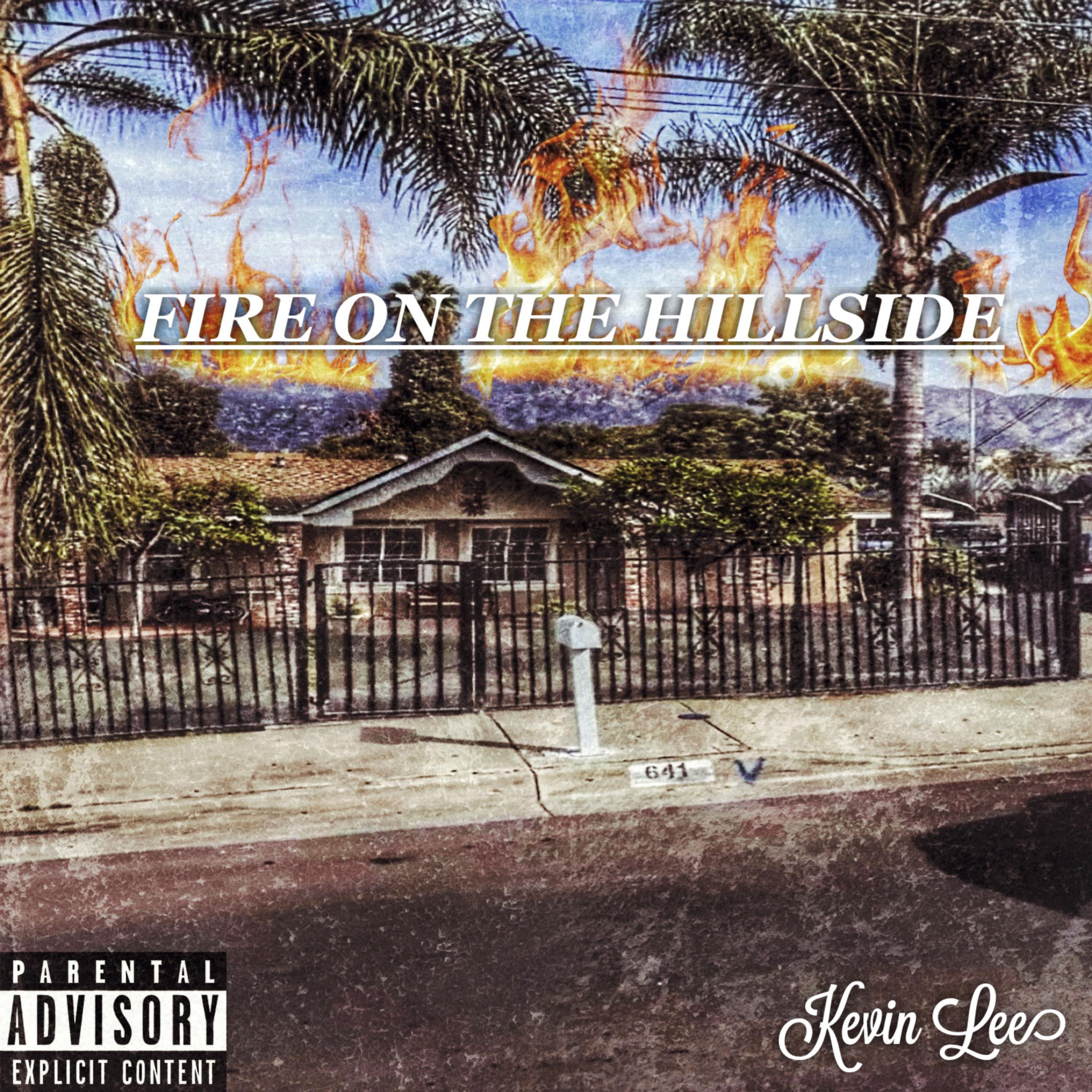 Fire On The Hillside artwork