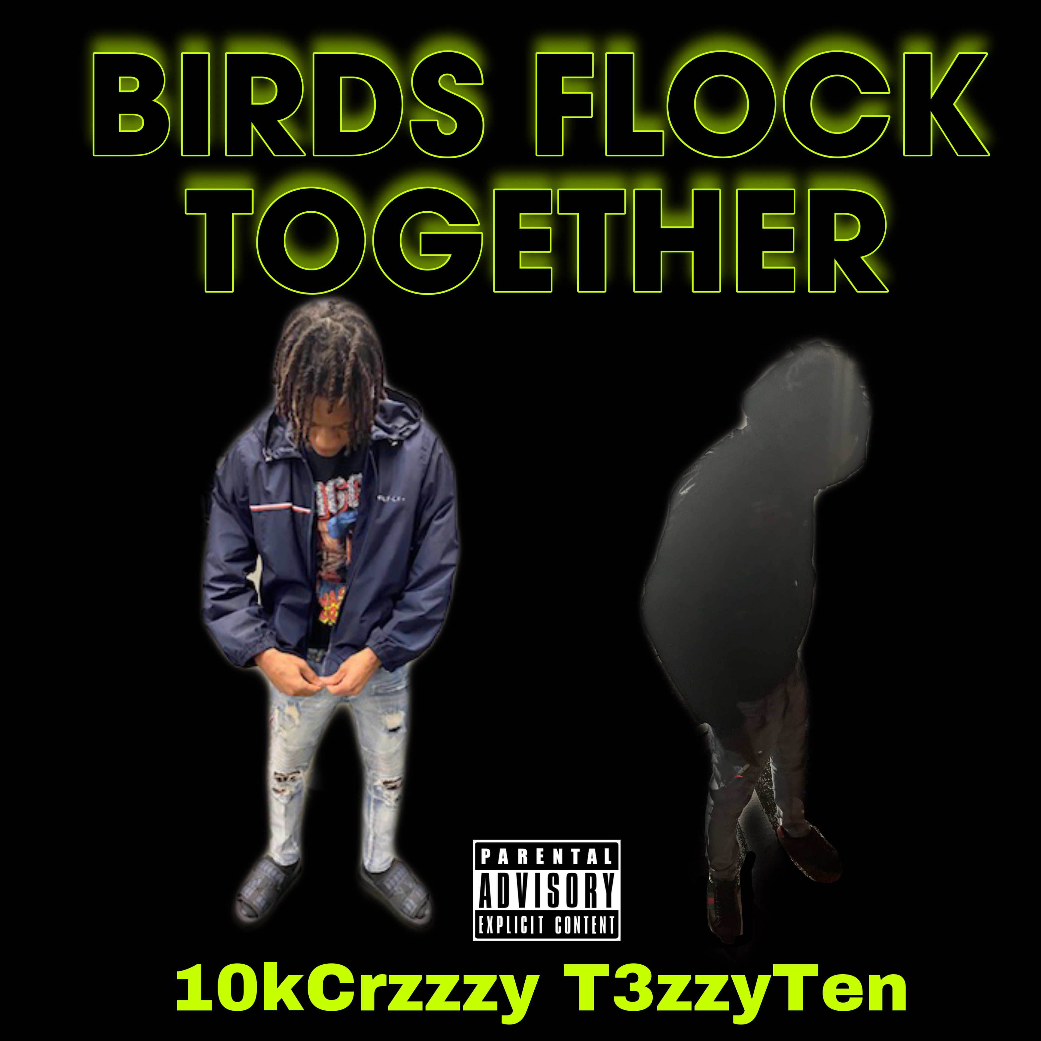 Birds Flock Together artwork