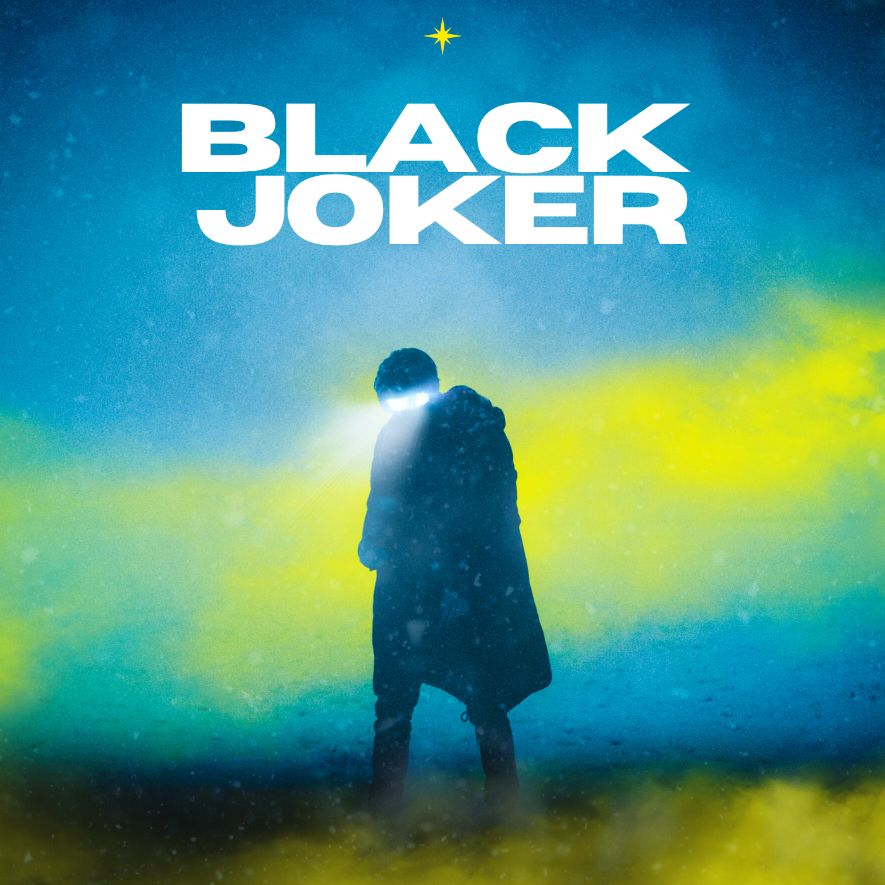 BLACK JOKER by Majik cover art