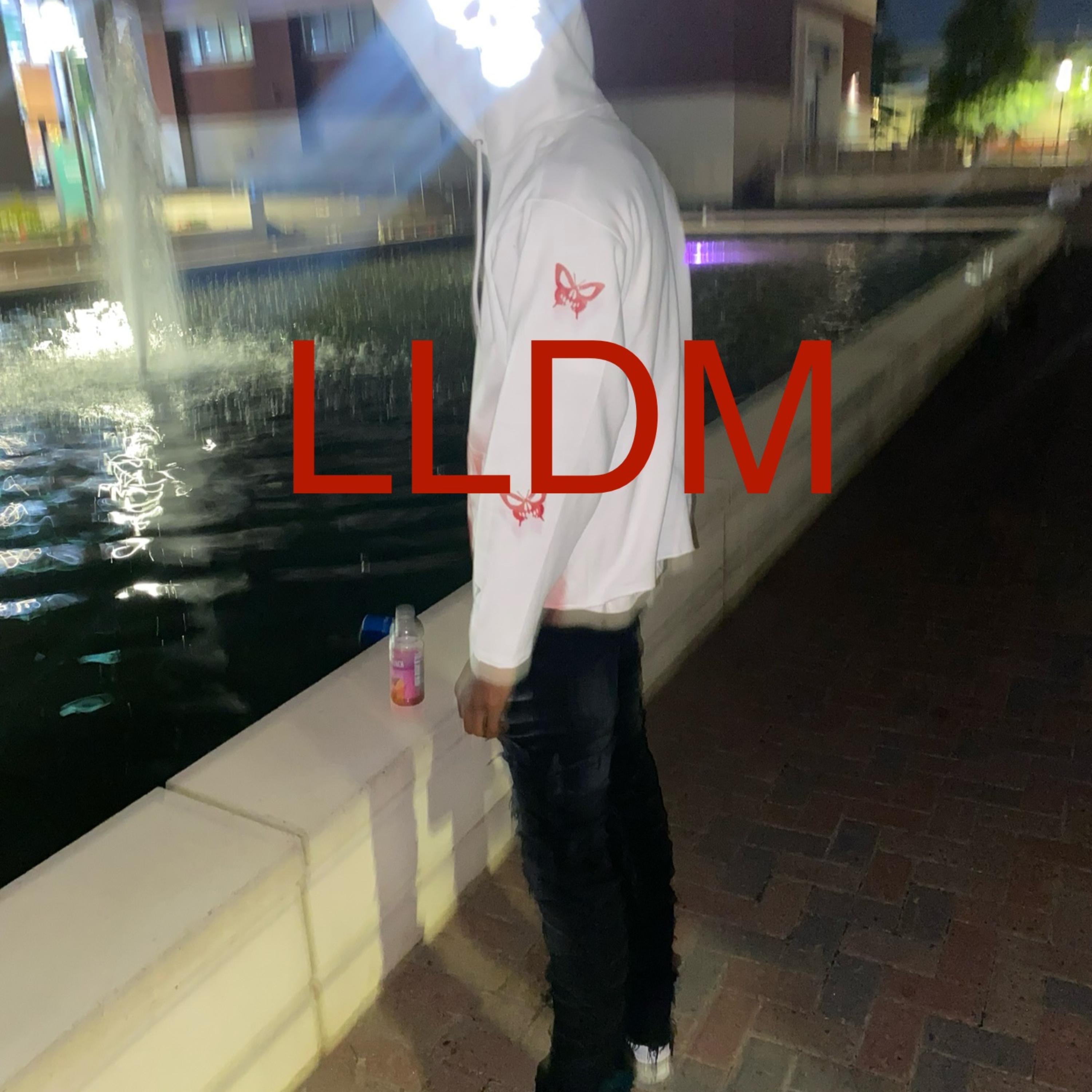 LLDM artwork