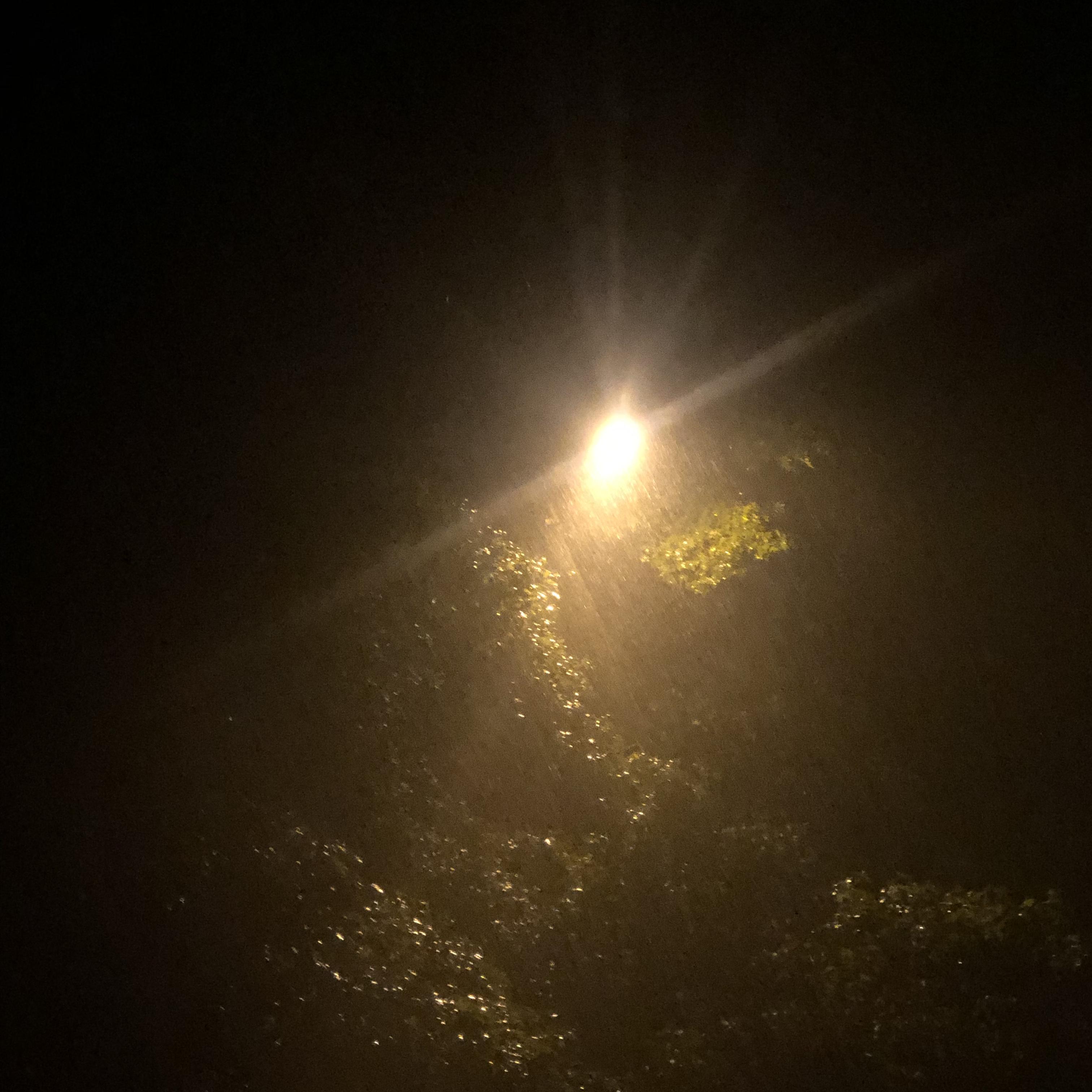 Spiraling Into Madness artwork