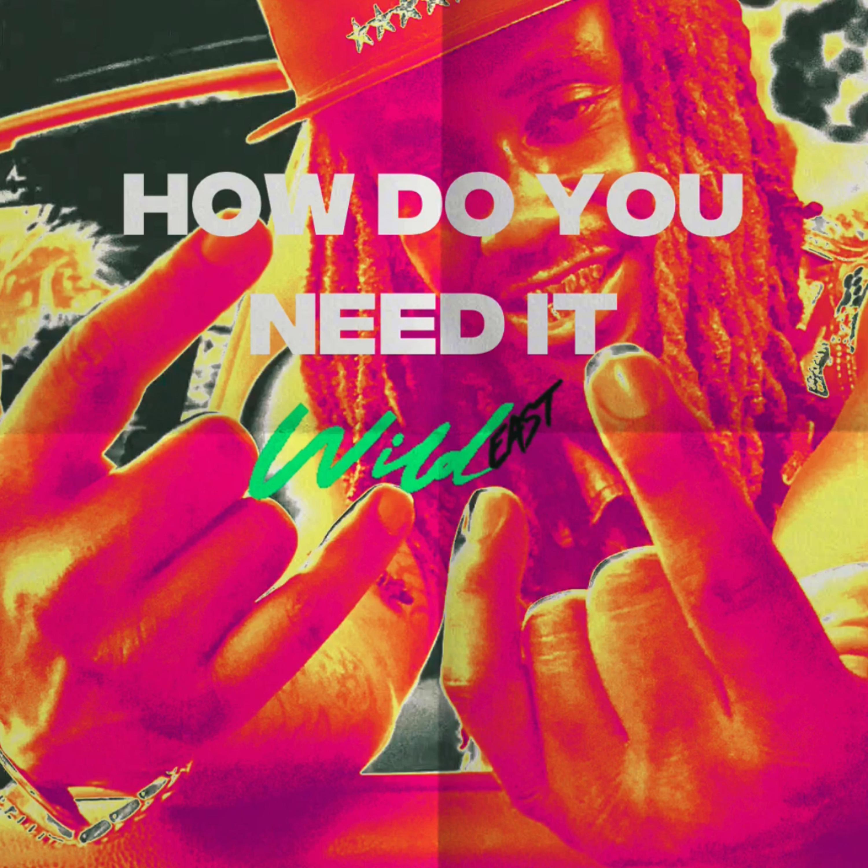 How Do You Need It by Wildeast cover art