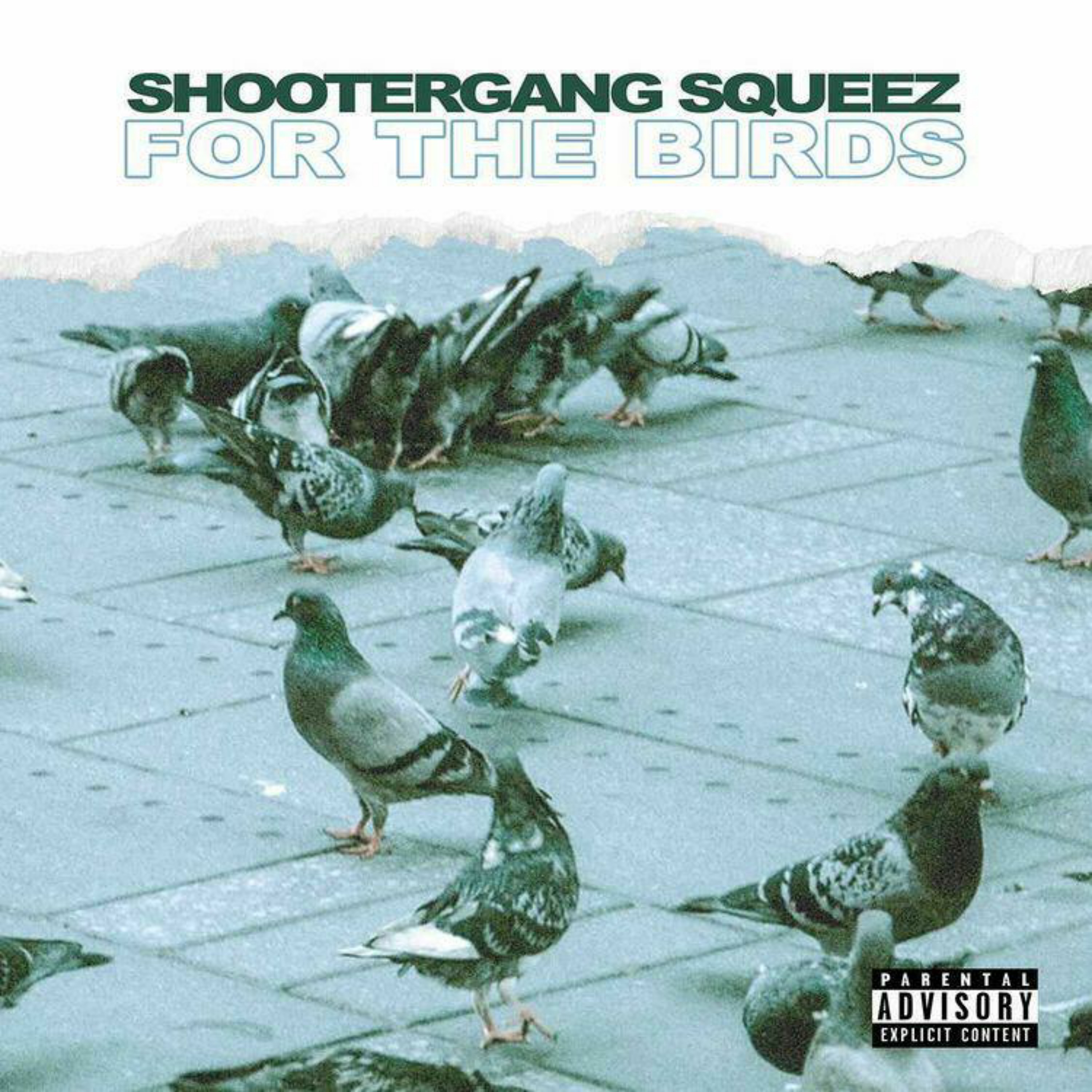 For The Birds artwork