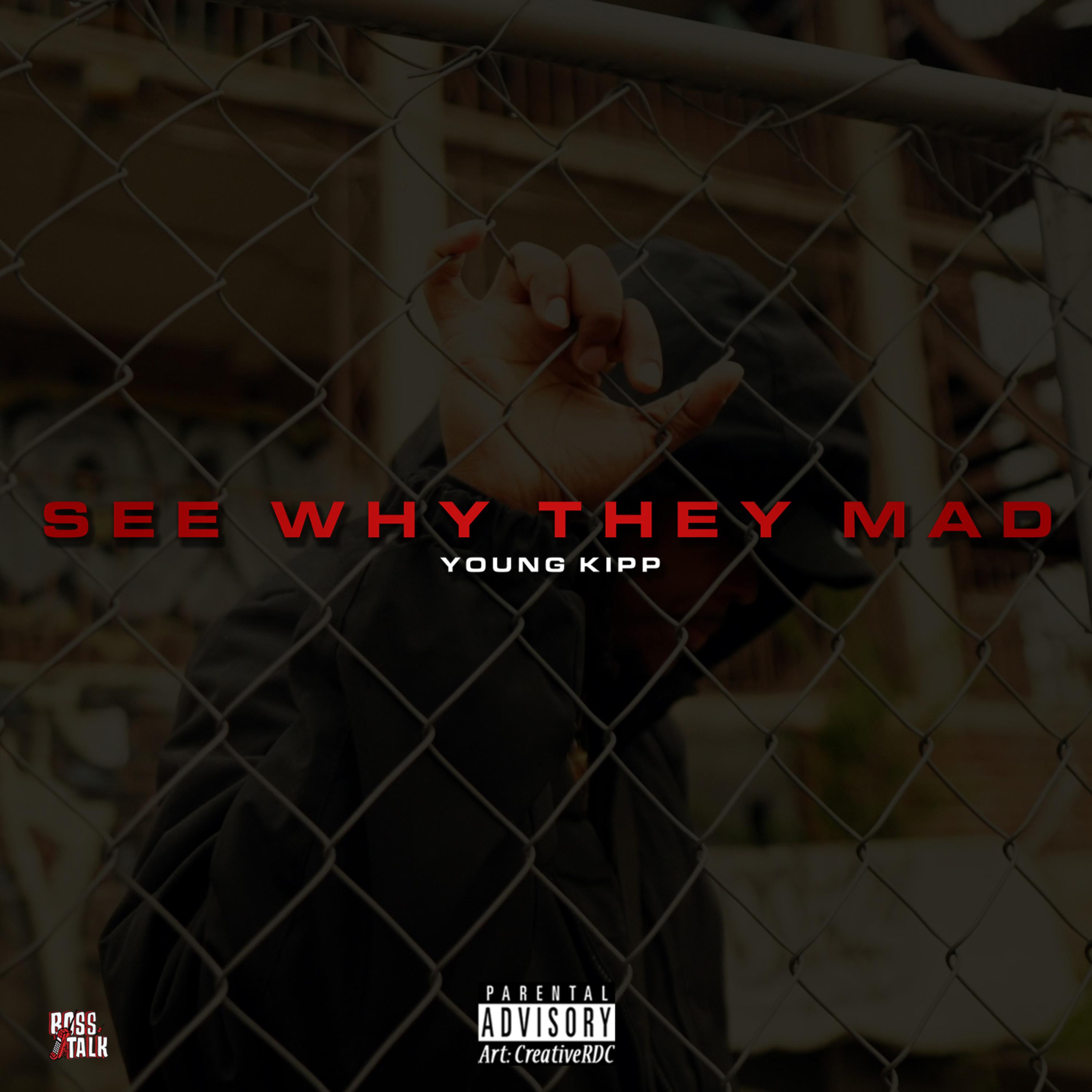 See Why They Mad artwork