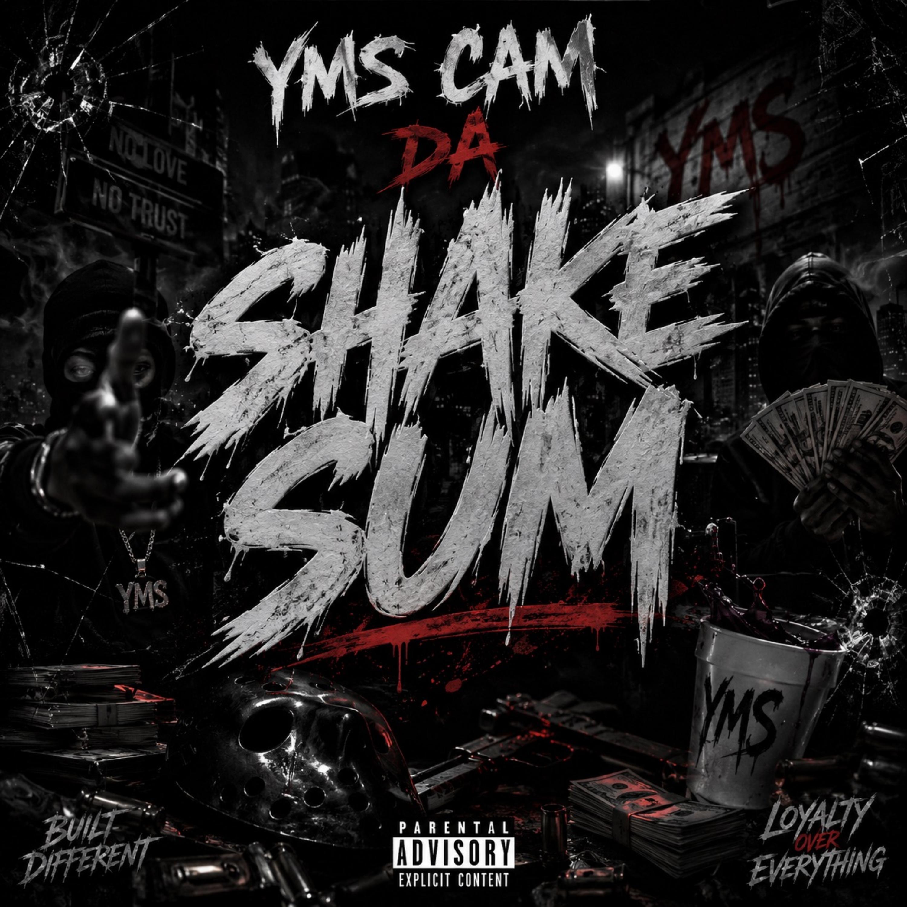 Shake Sum by YMS cam cover art