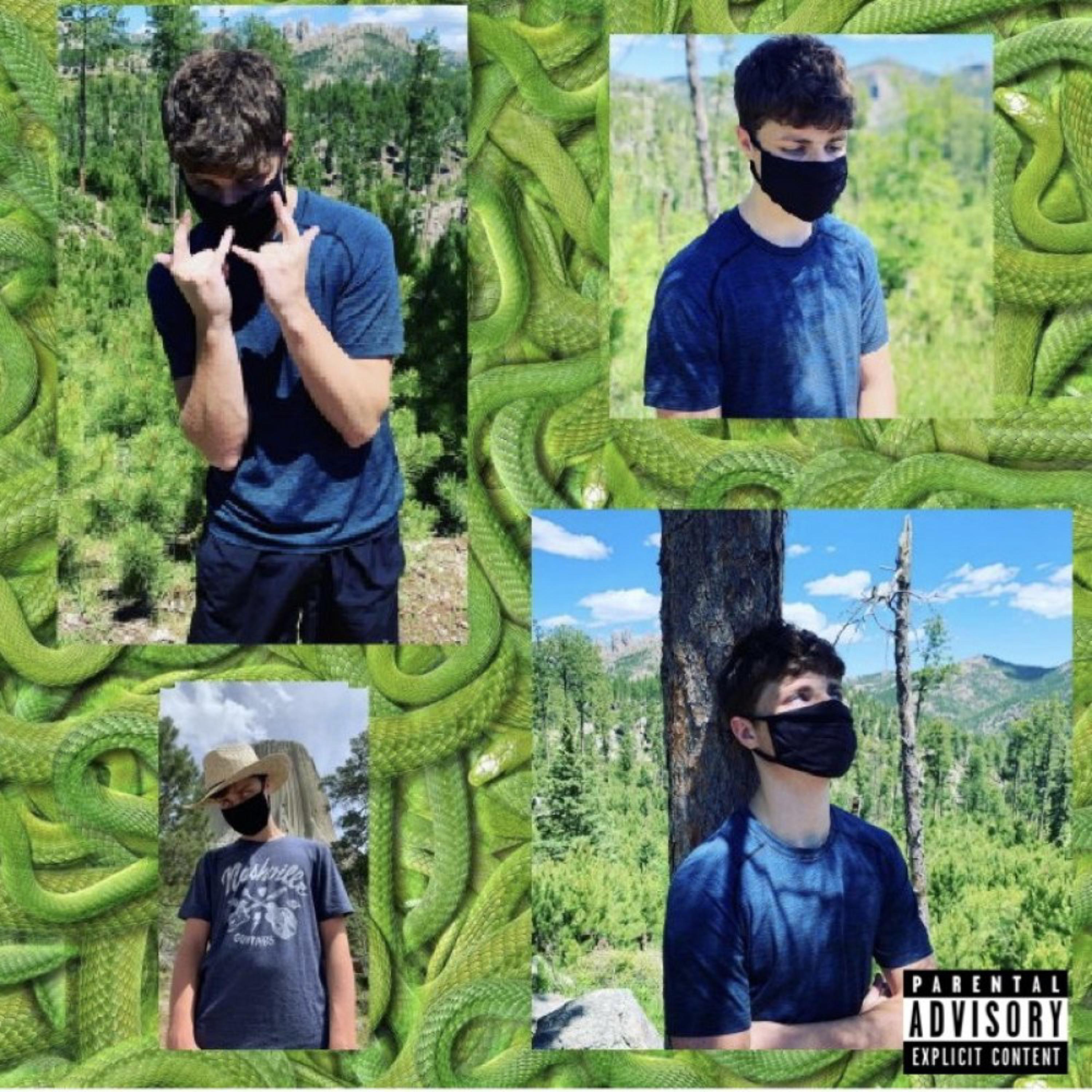 Snakes artwork