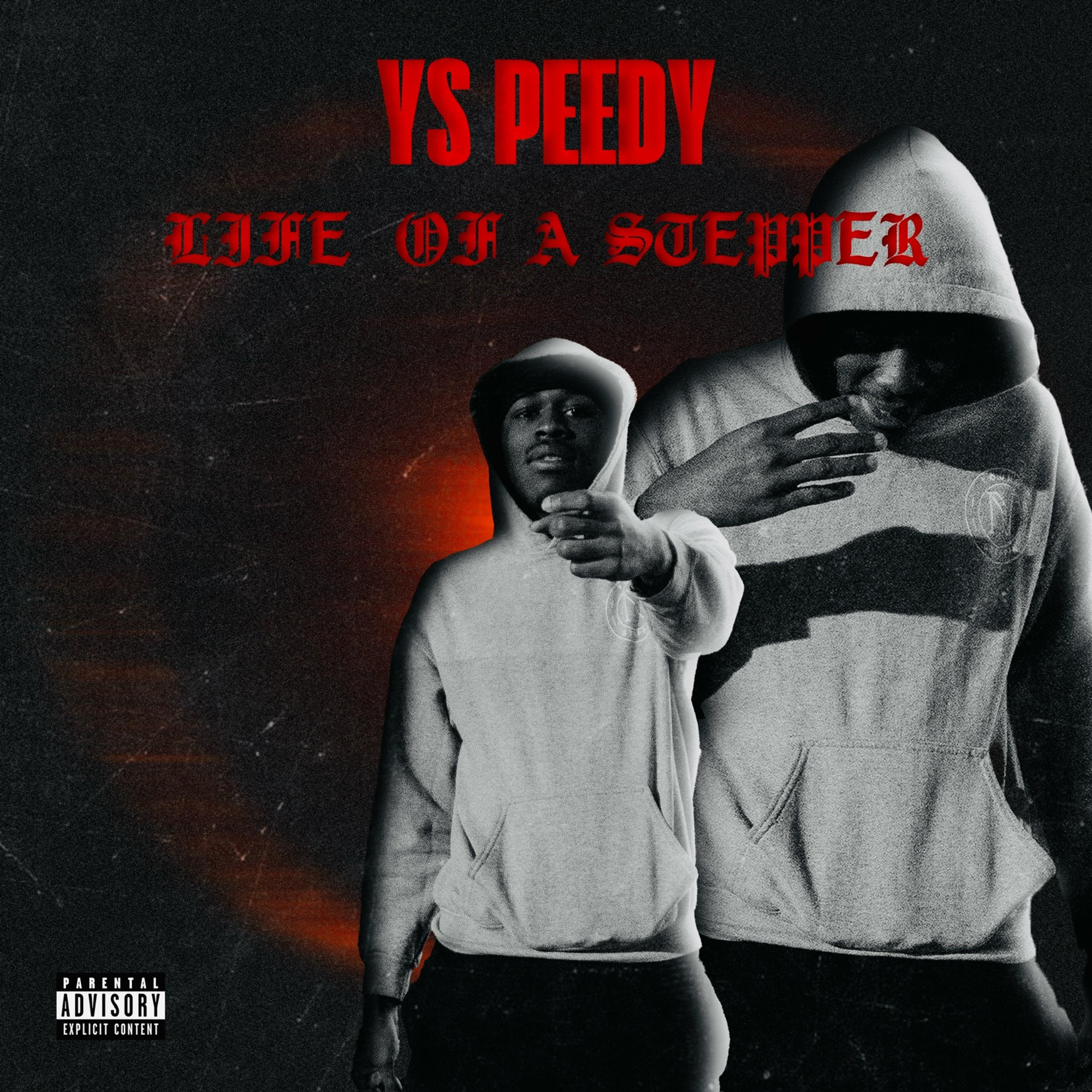 Life Of A Stepper artwork