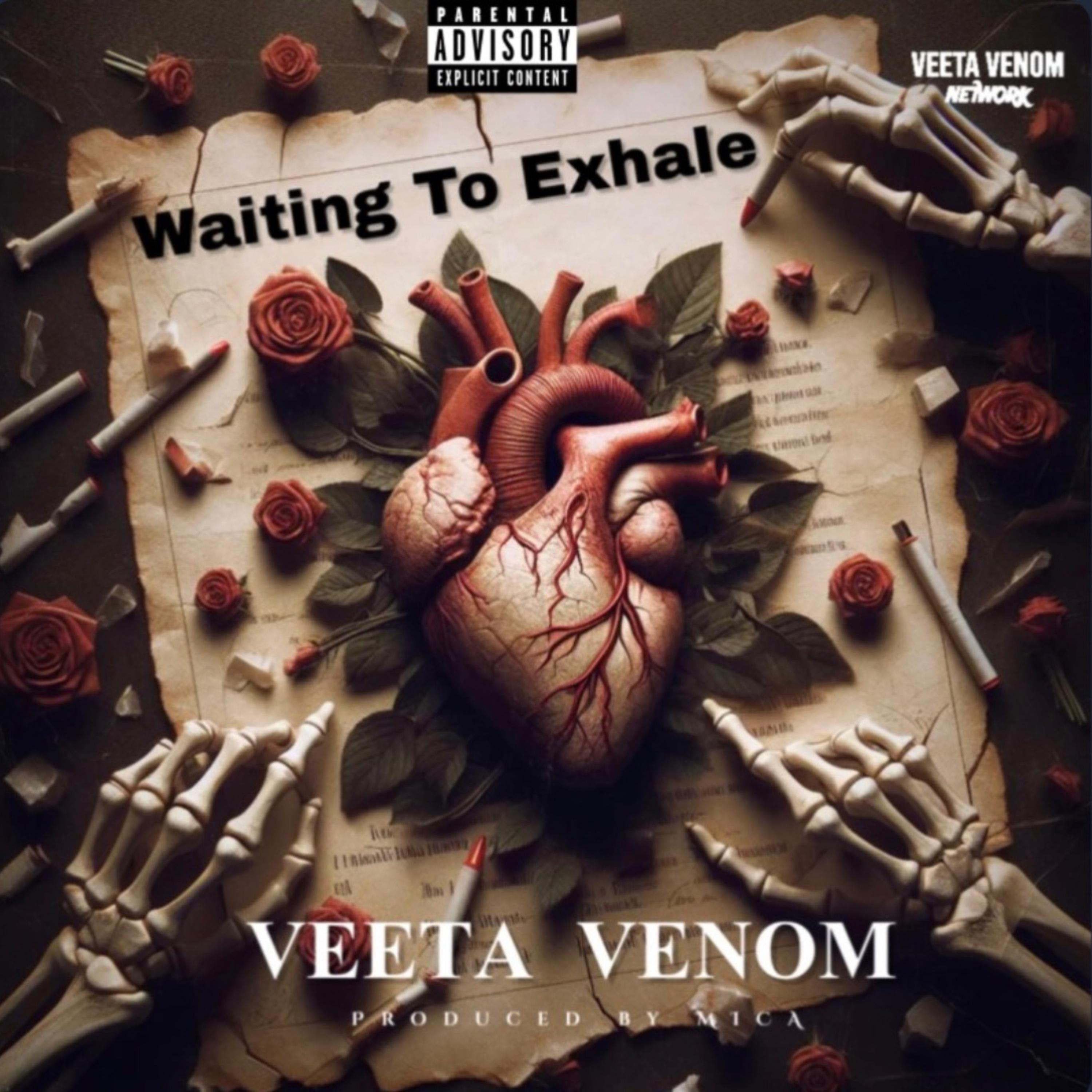 Waiting To Exhale by Veeta Venom cover art