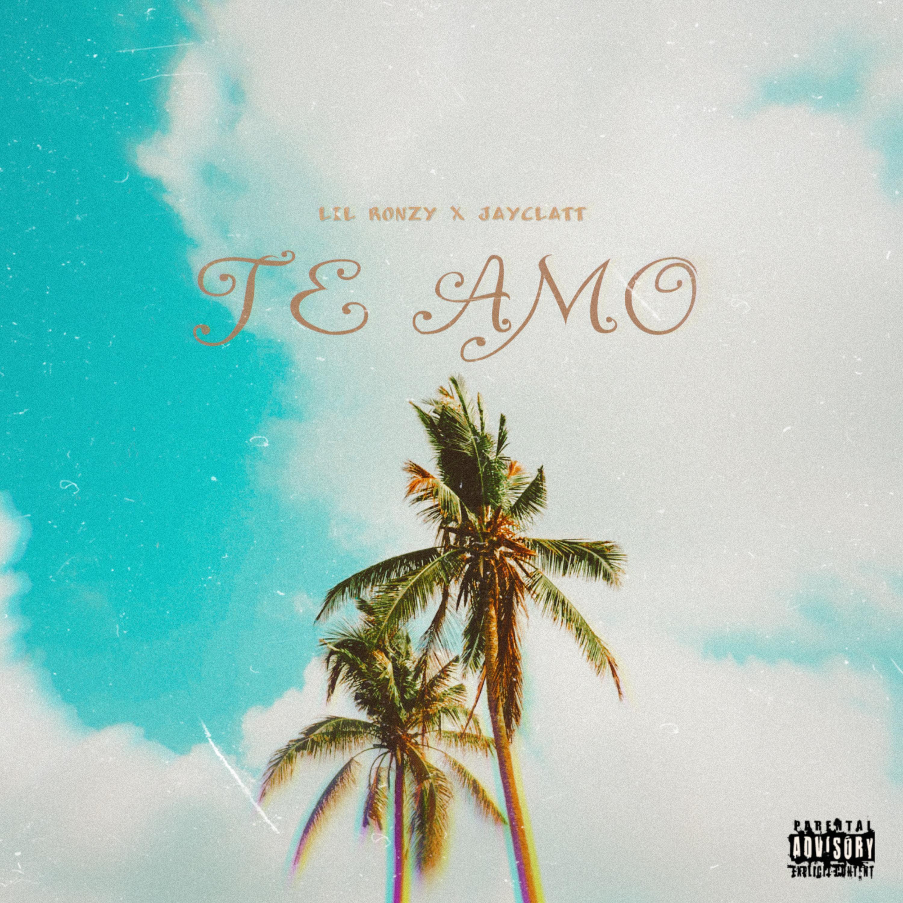 TE AMO artwork