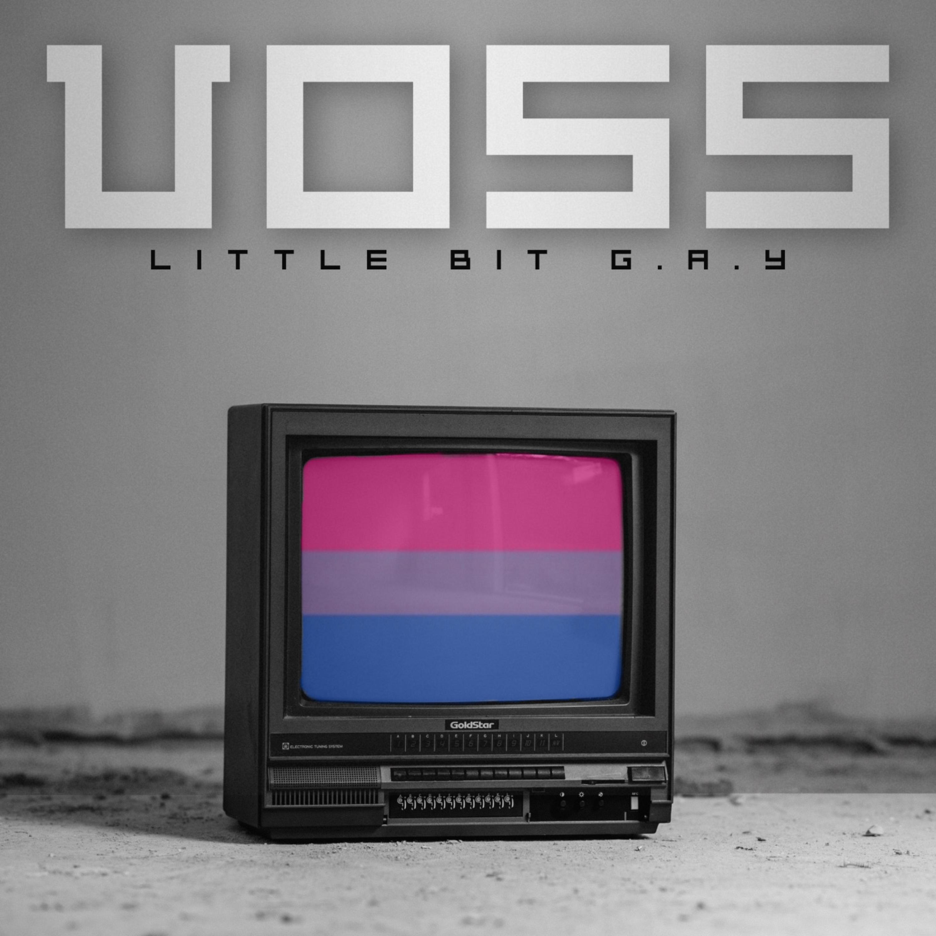 Little Bit G.A.Y artwork