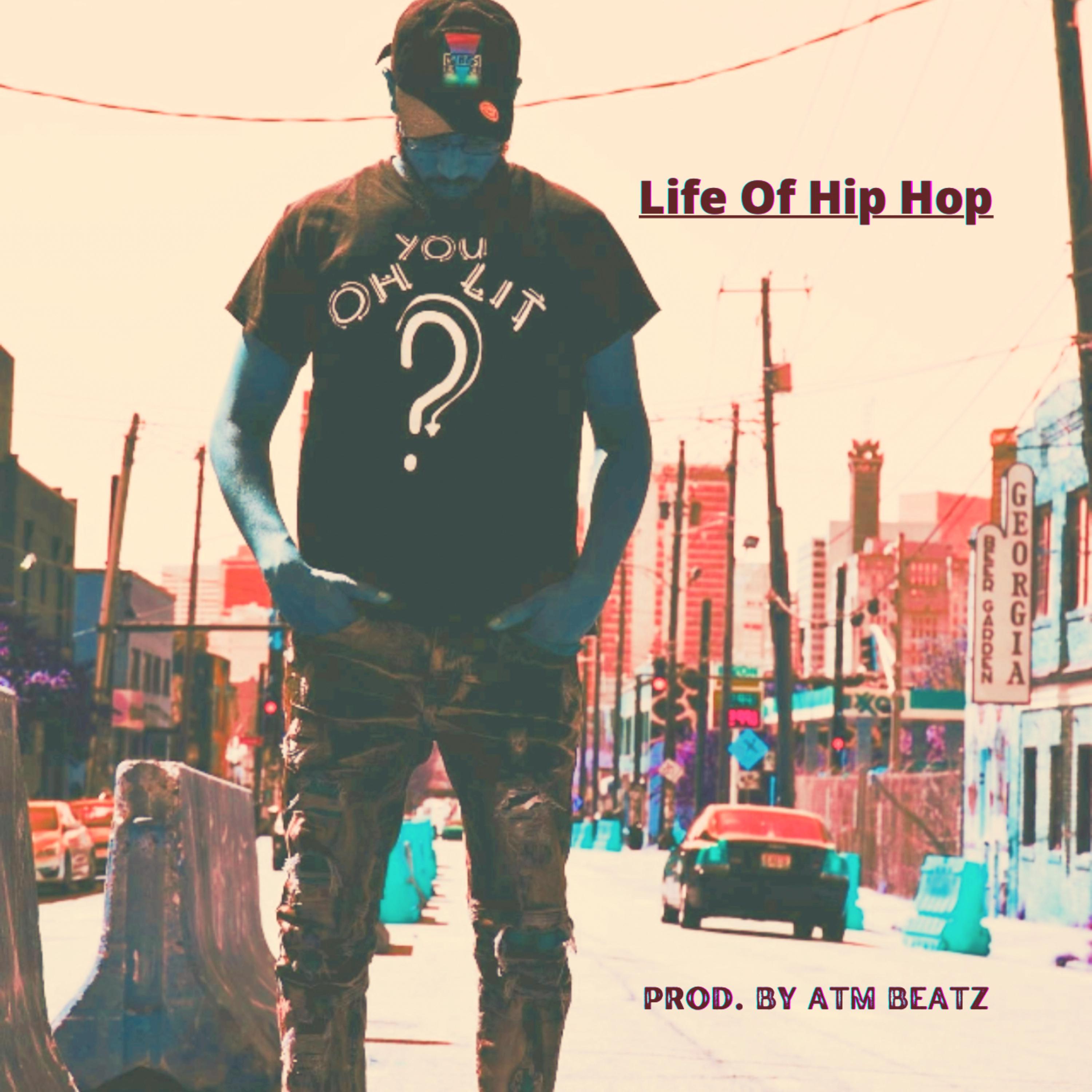 Life Of Hip Hop artwork