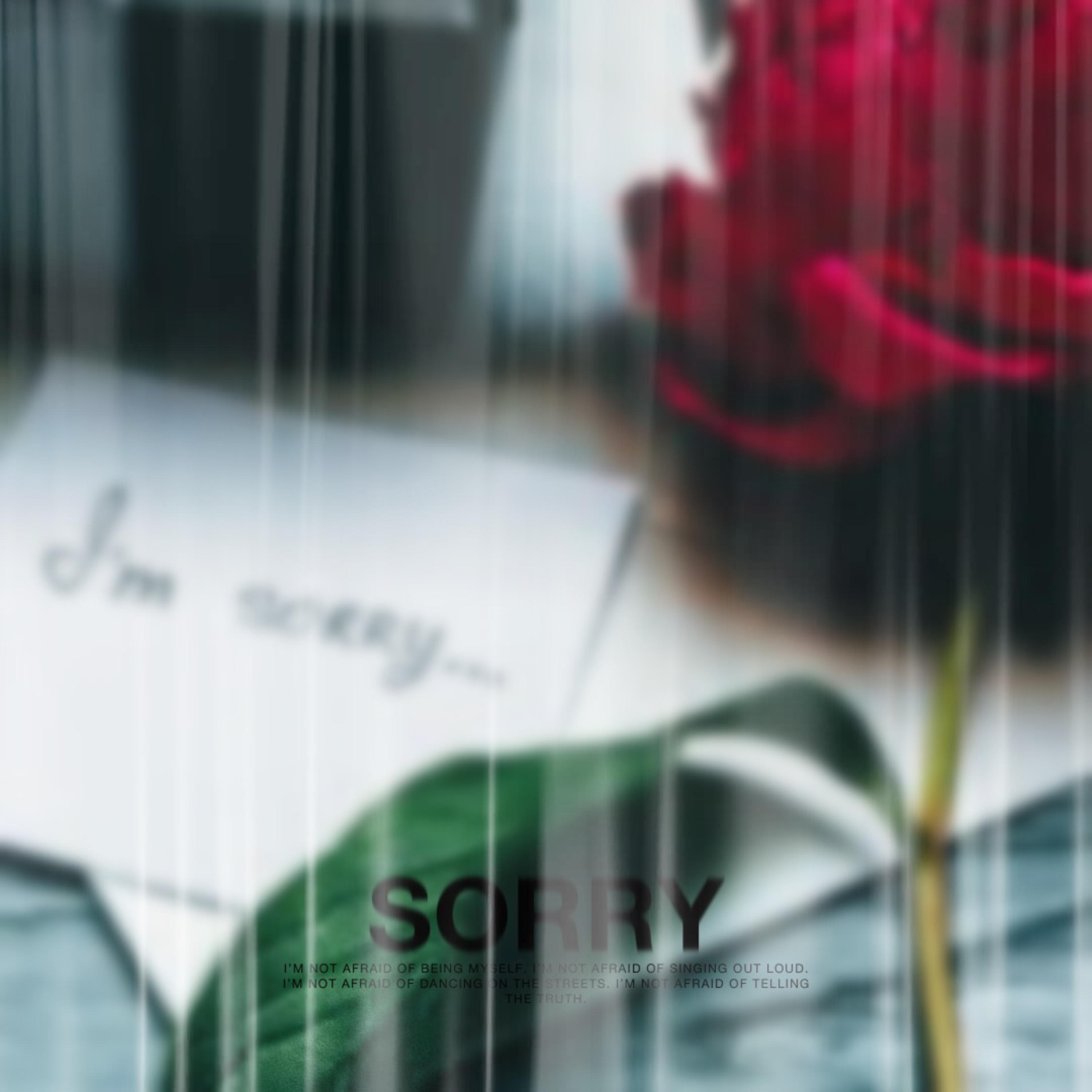 Sorry Aint Enough artwork