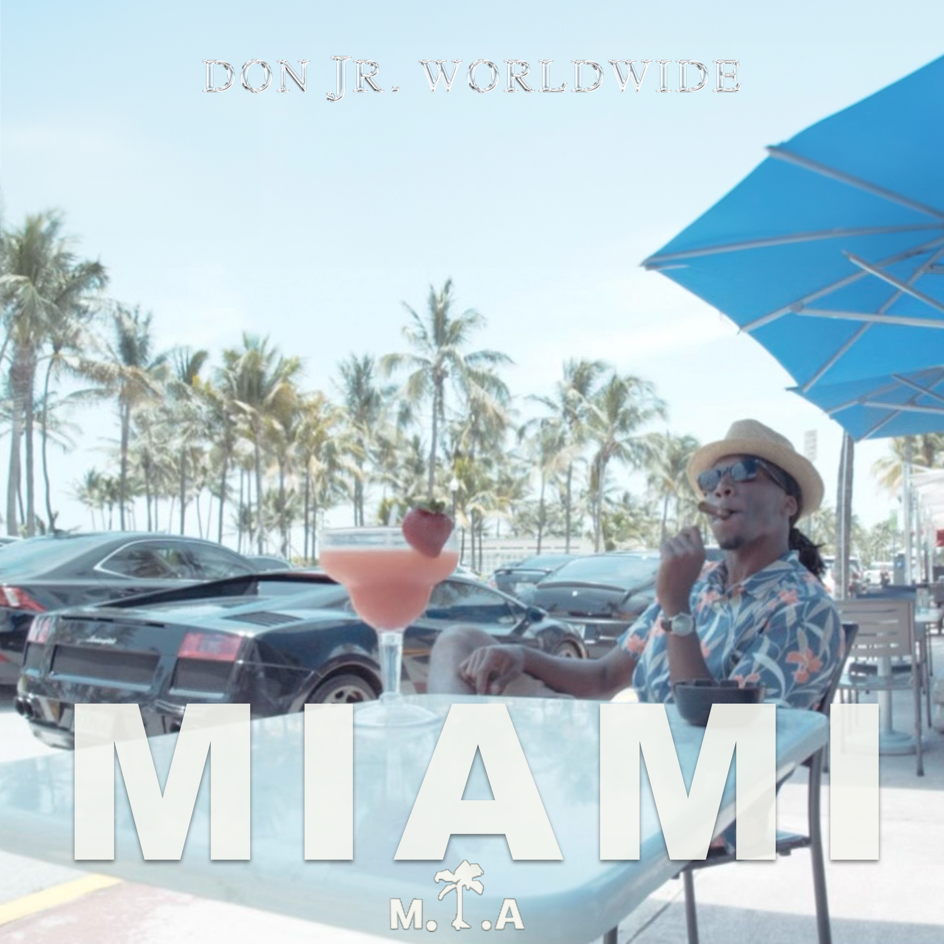 M I A ( Miami ) artwork