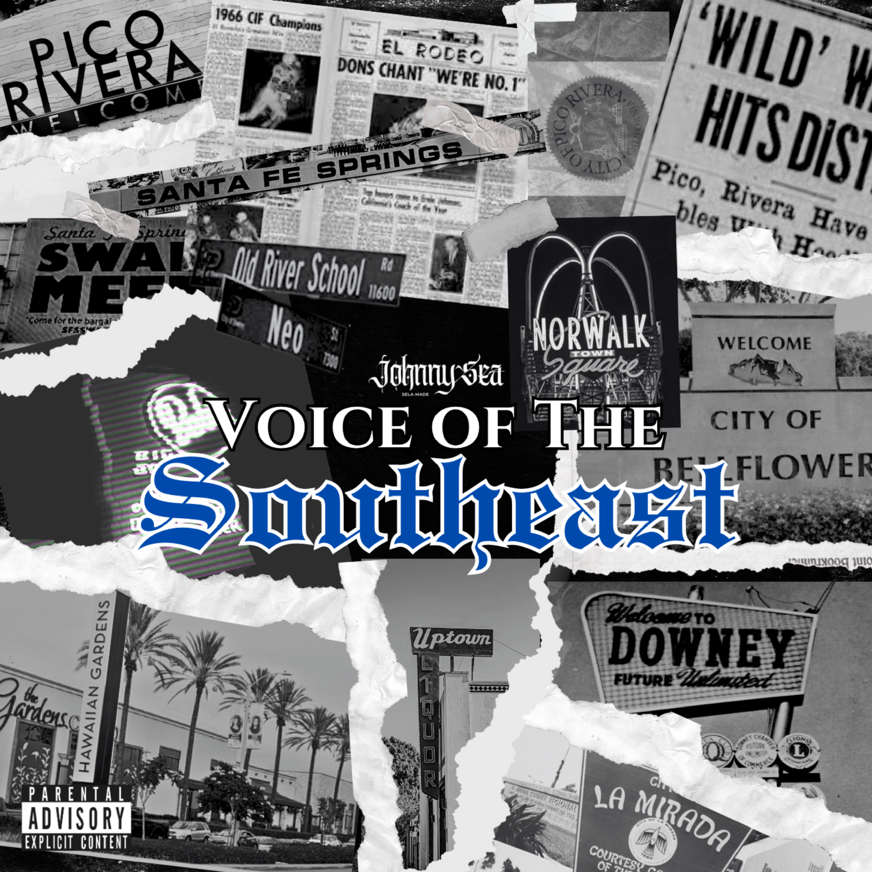 Voice of The Southeast by Johnny Sea  cover art