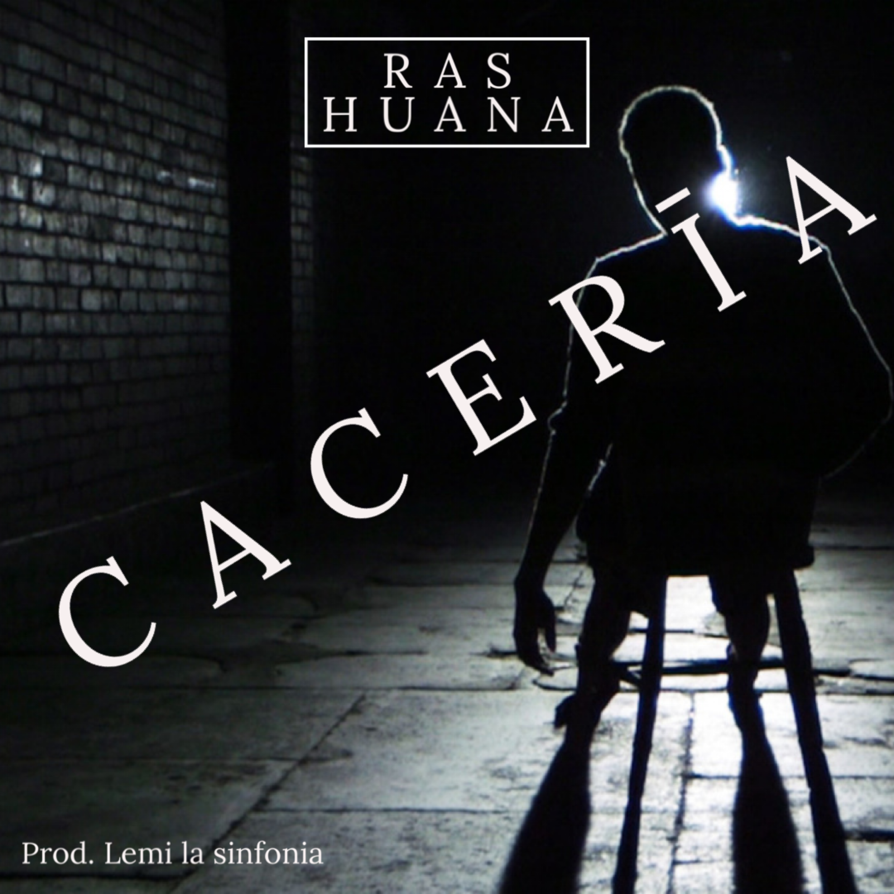 CACERÍA artwork