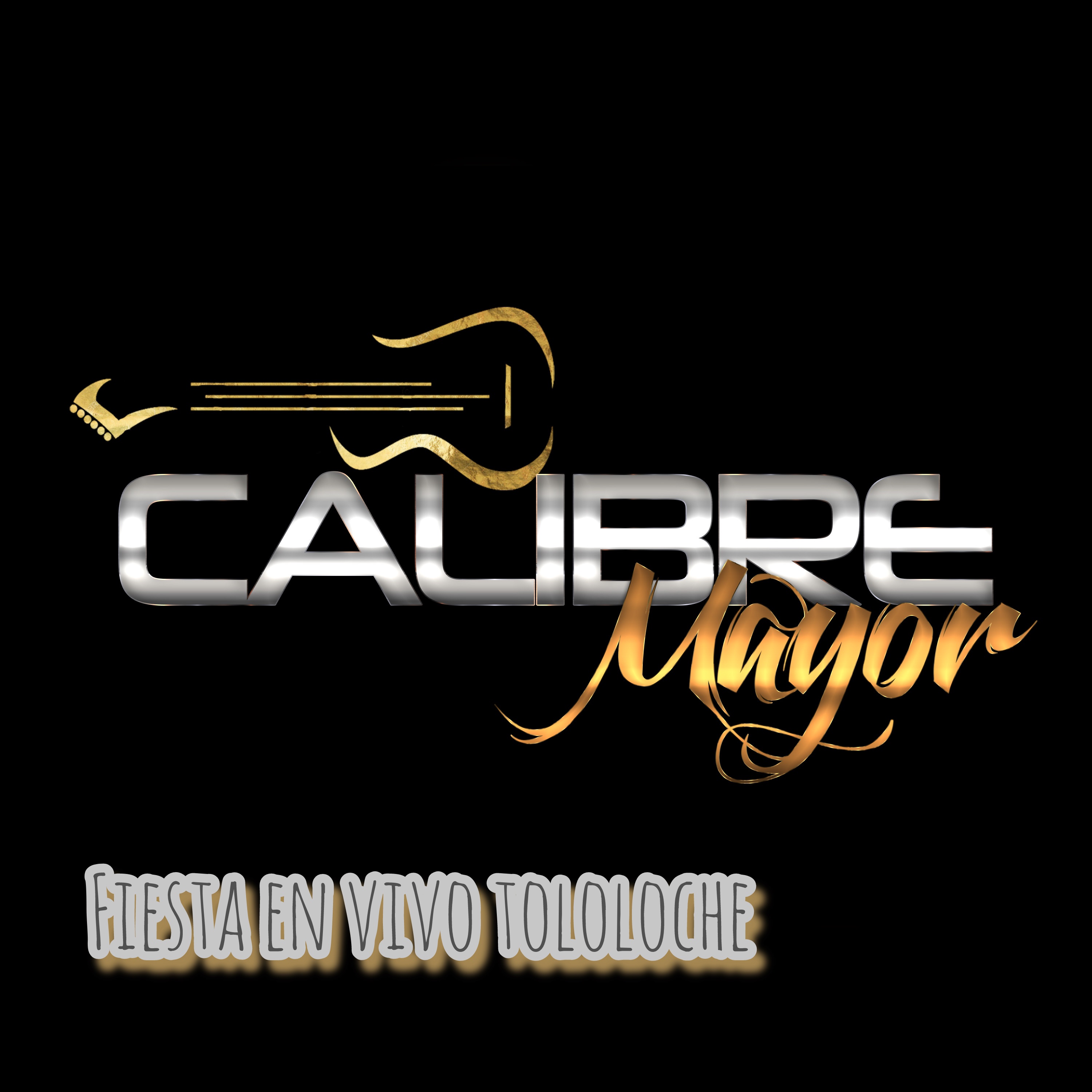 Fiesta  En Vivo  Tololoche 3 artwork