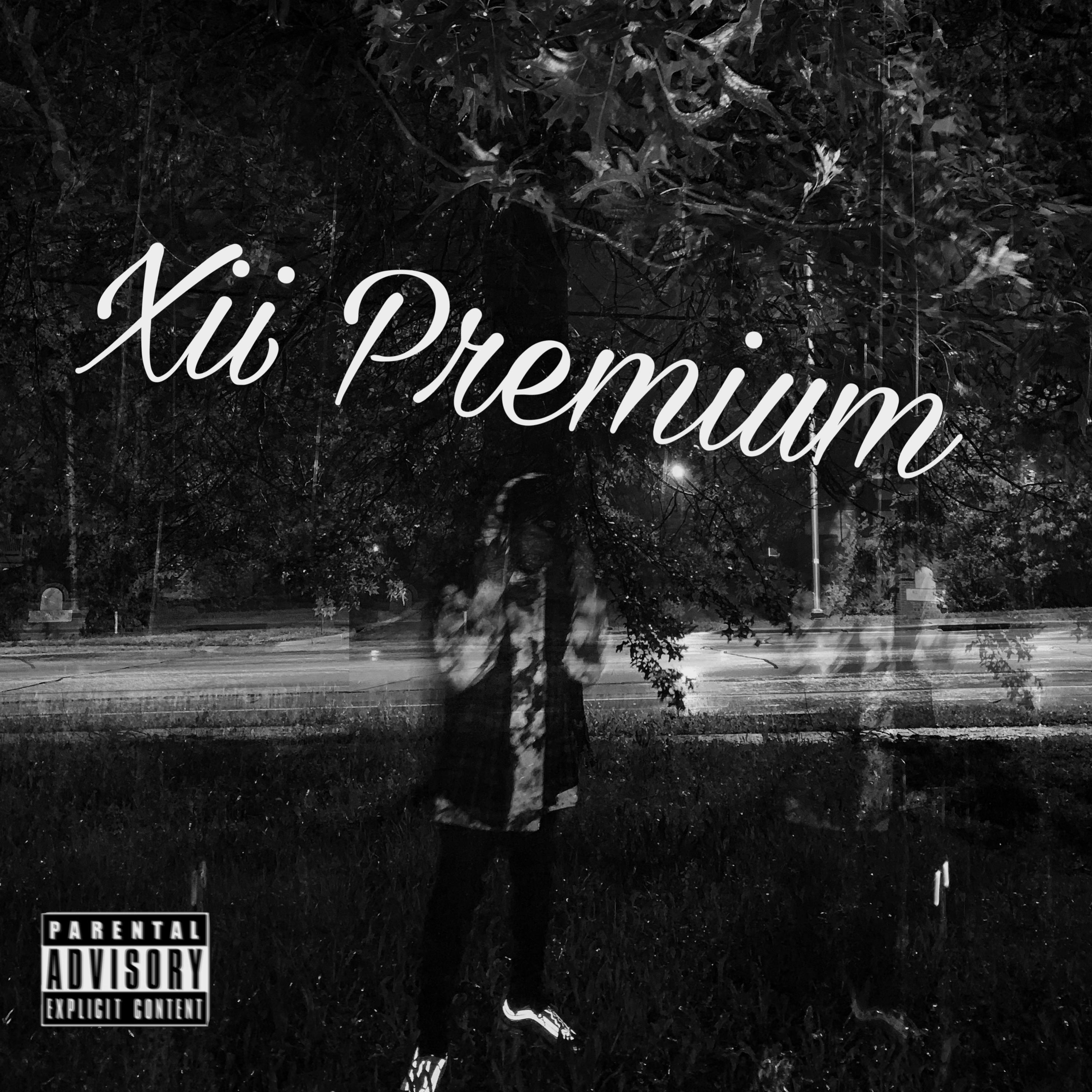 Xii Premium artwork