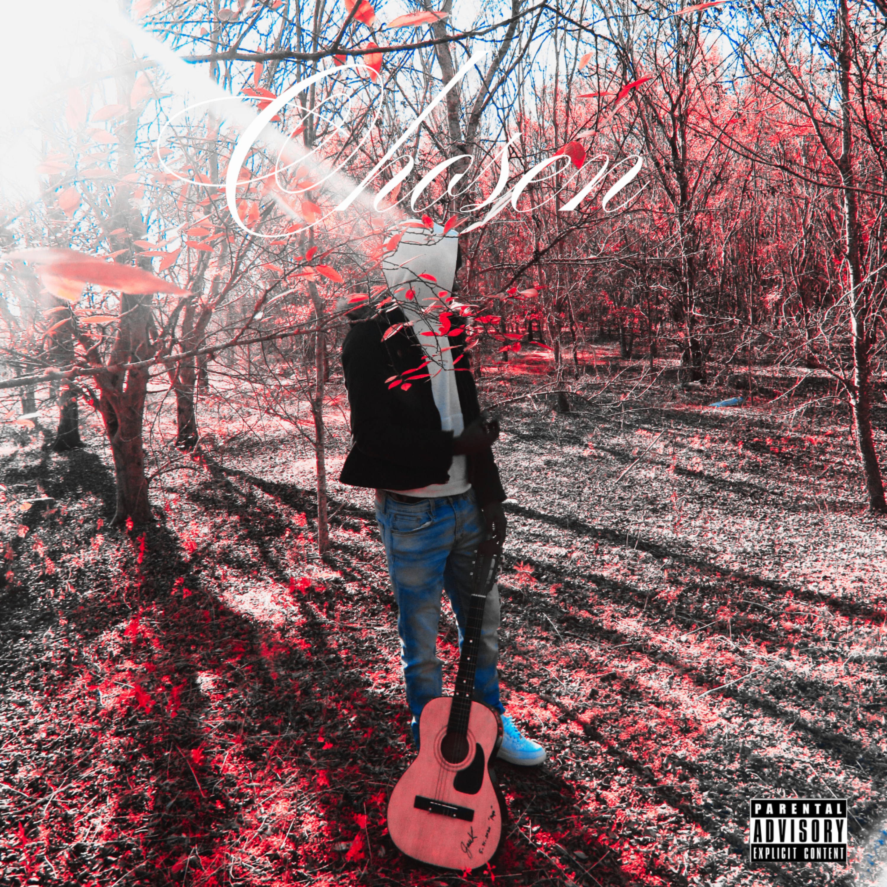 Chosen artwork
