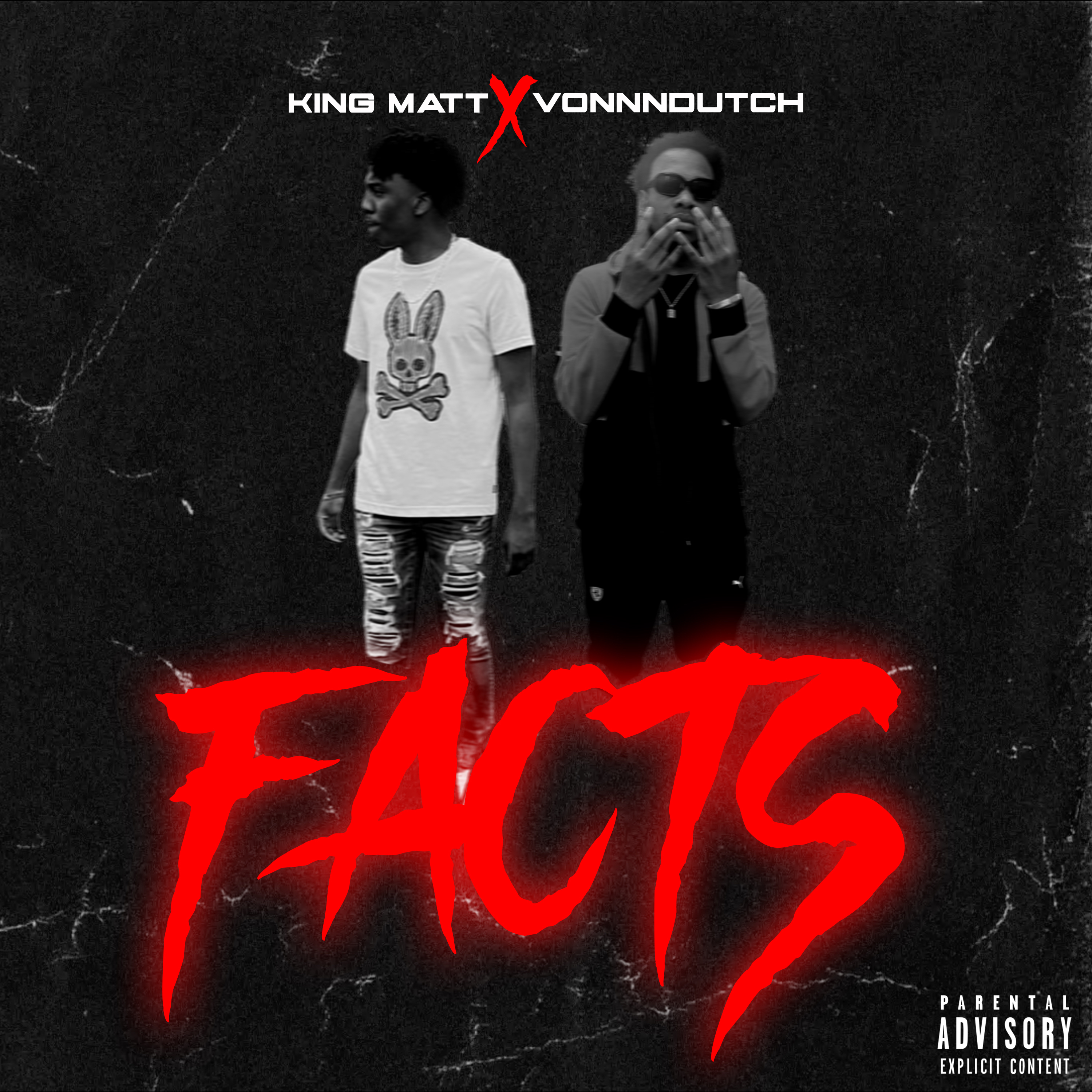 Facts artwork