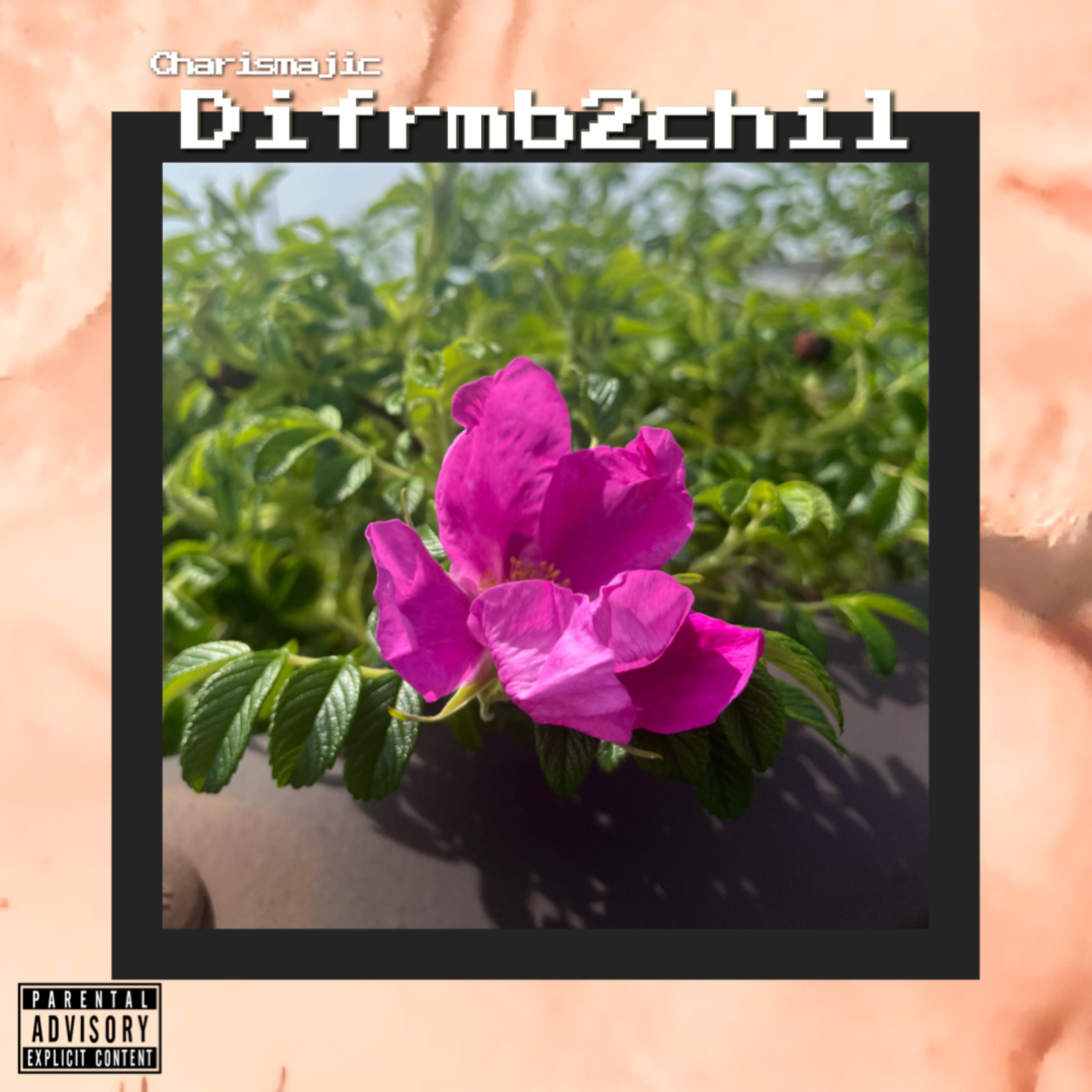 Difrmb2chil artwork