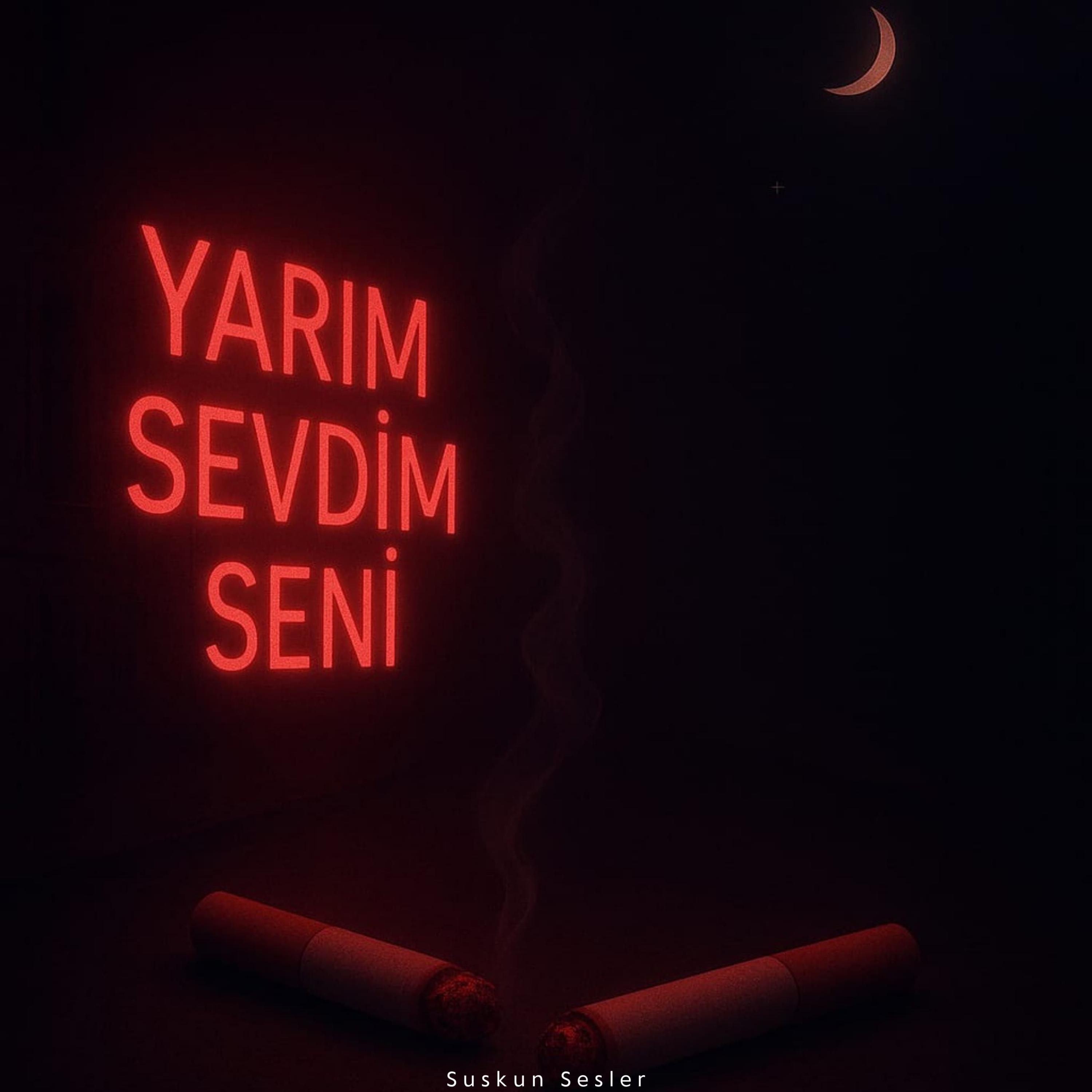 Yarım Sevdim Seni artwork