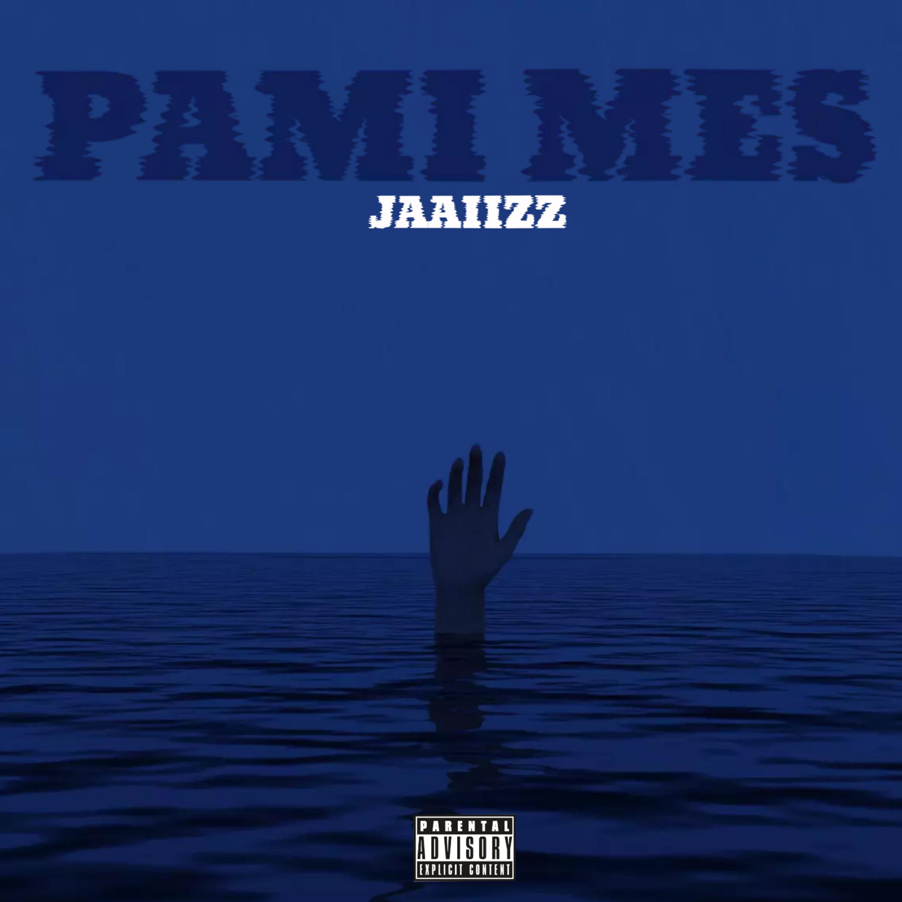Pami Mes artwork