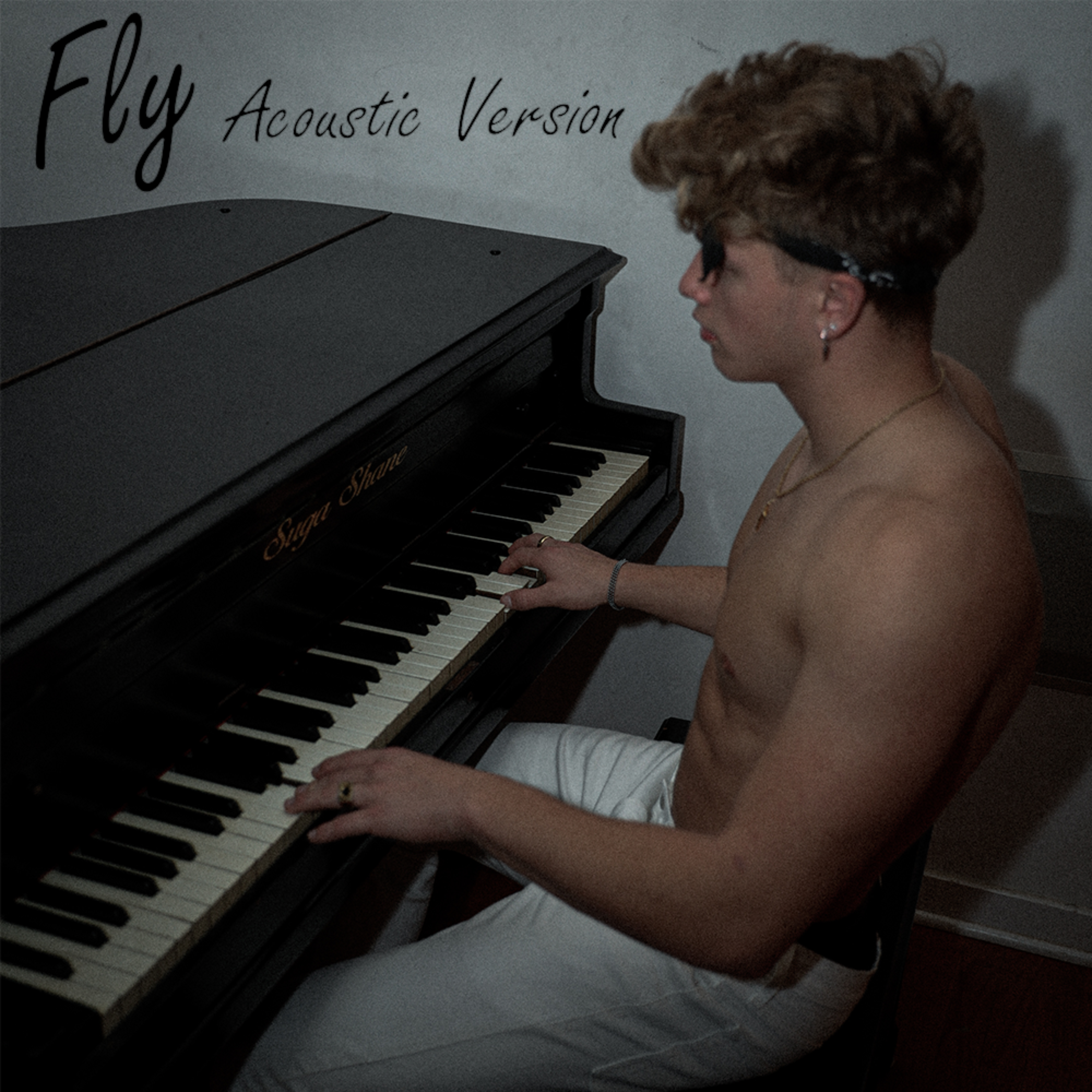 Fly (Acoustic Version) artwork