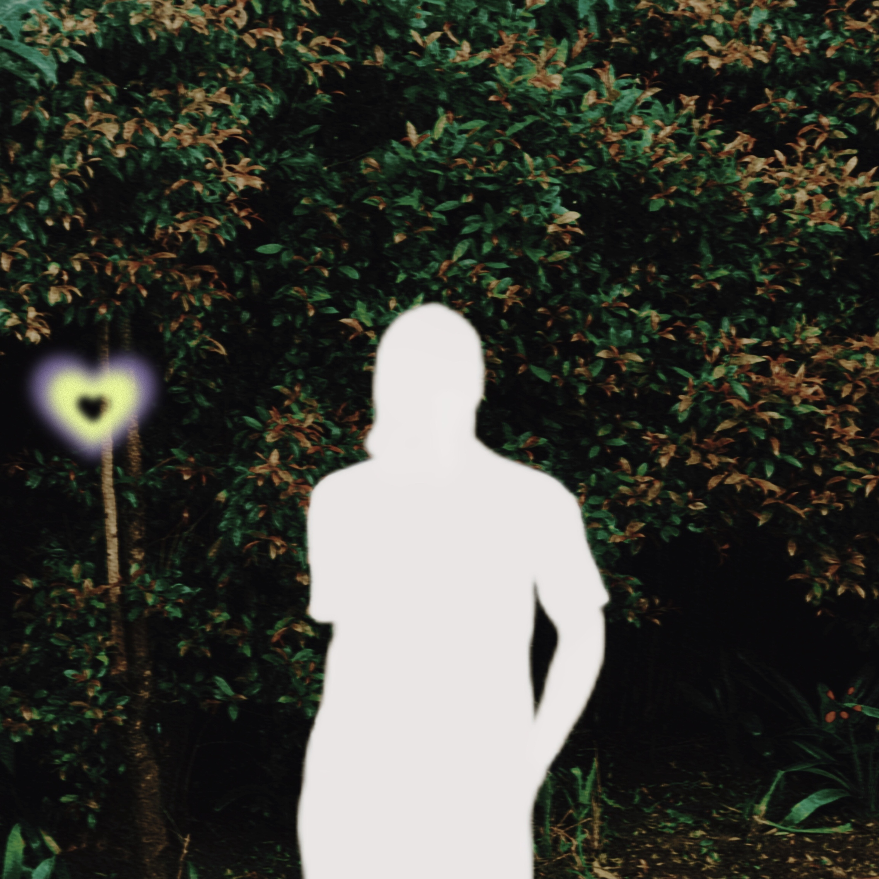 Too Late For Sorry! artwork