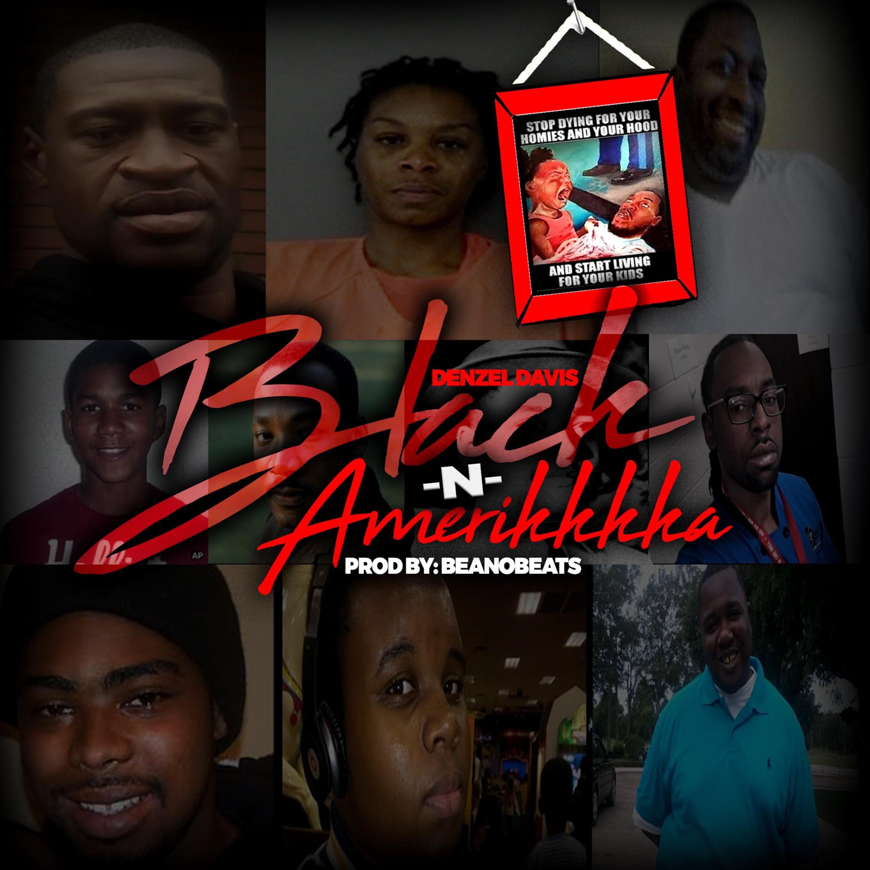 Black N' Amerikkkka artwork