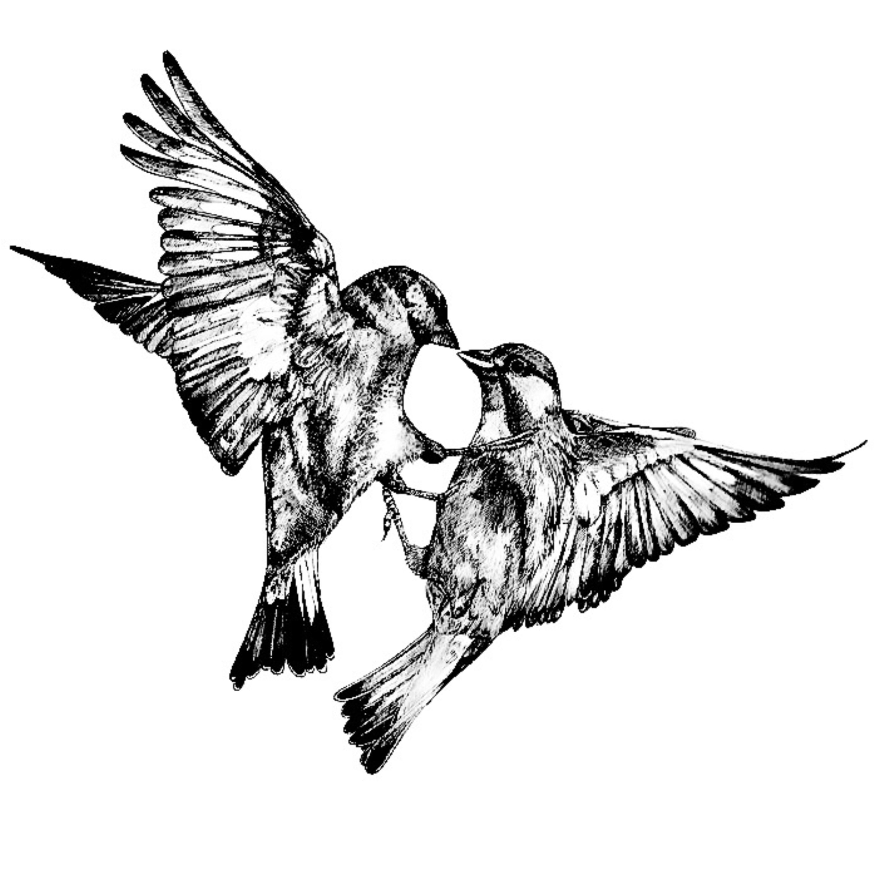 Love Birds (Deluxe) by REALPERR22 cover art