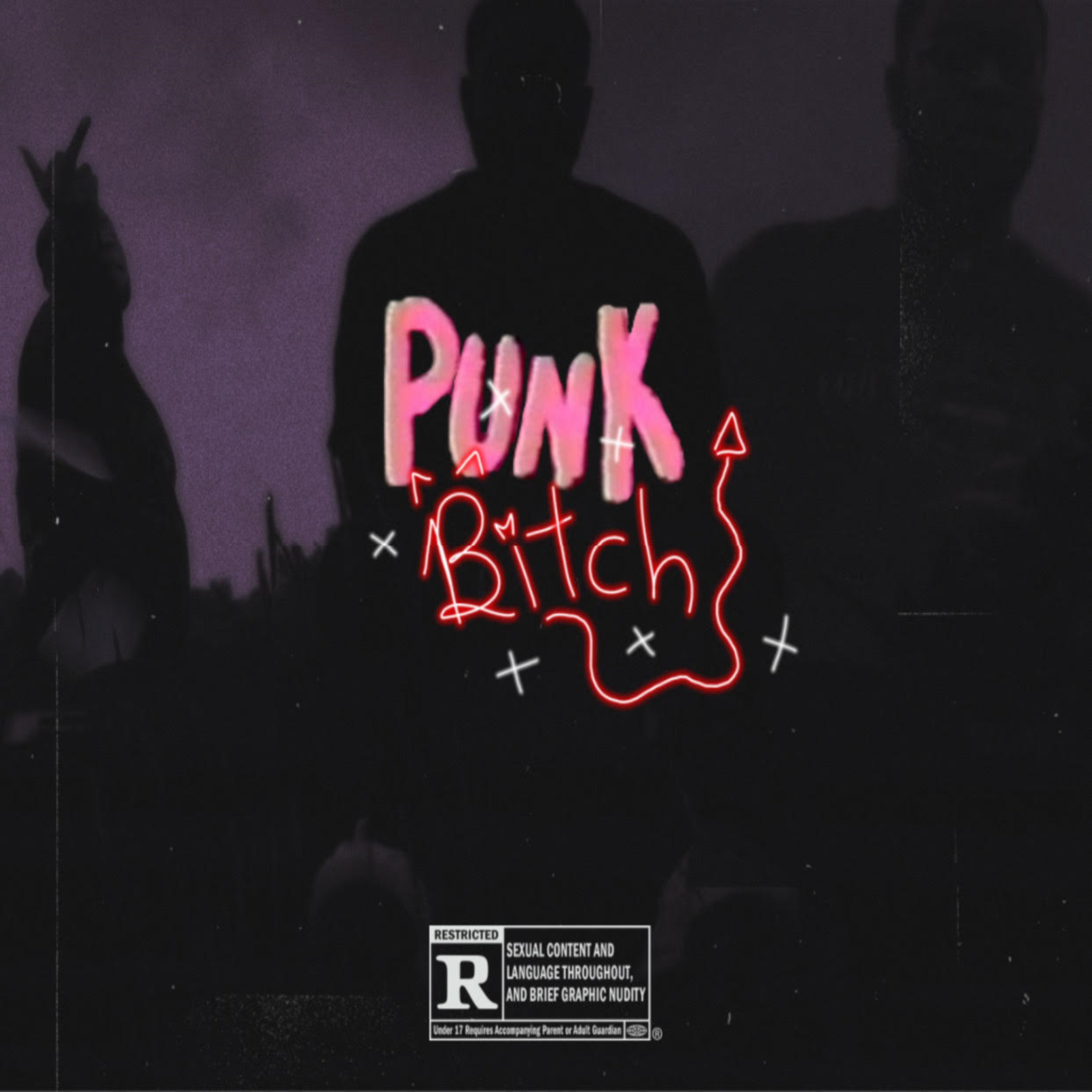 PUNK BITCH! artwork