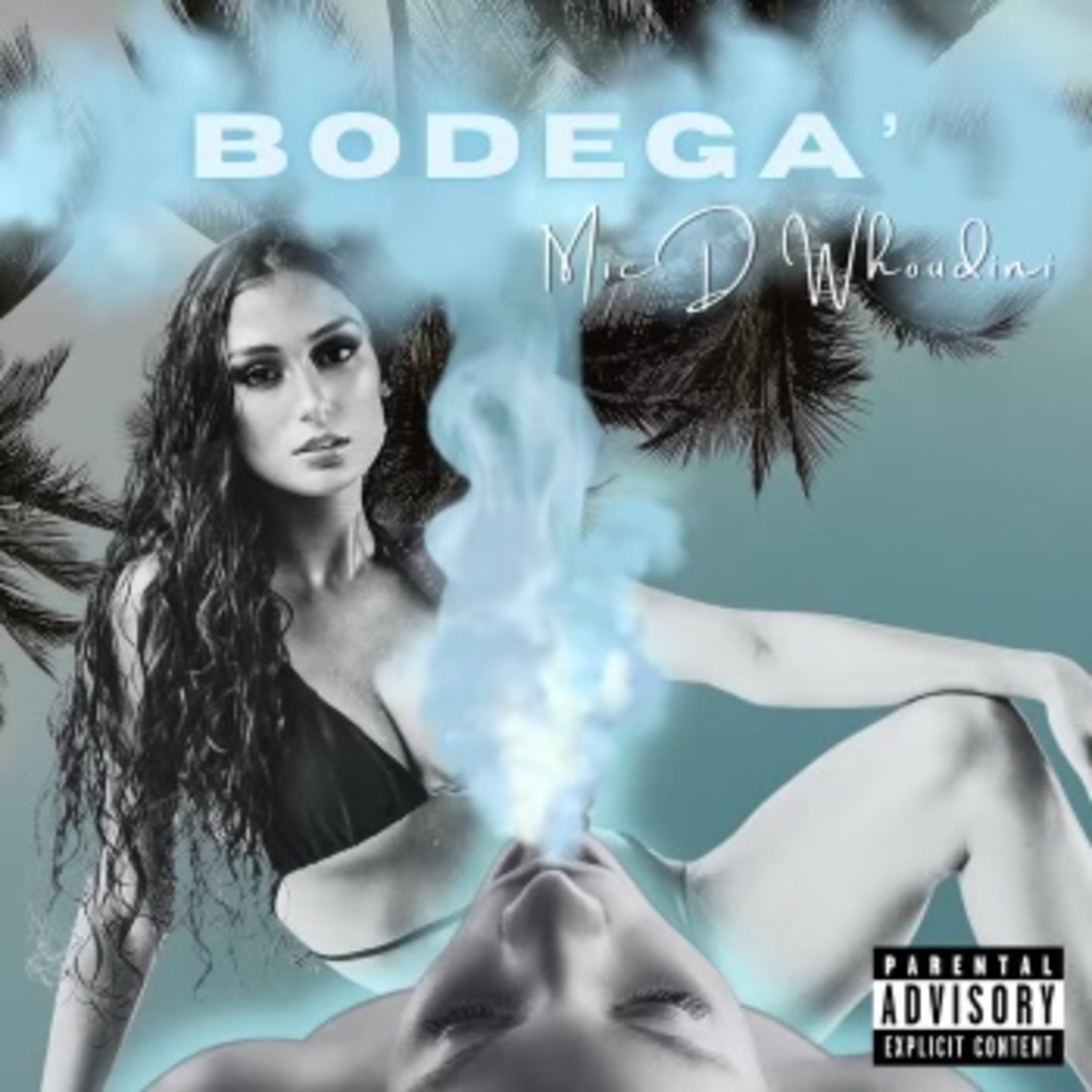 Bodega' artwork