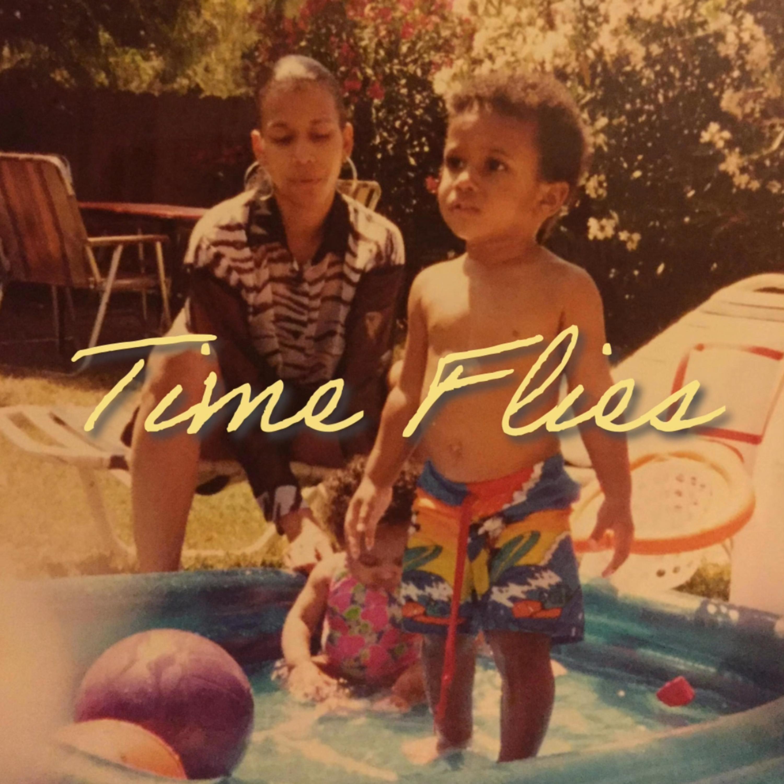 Time Flies artwork