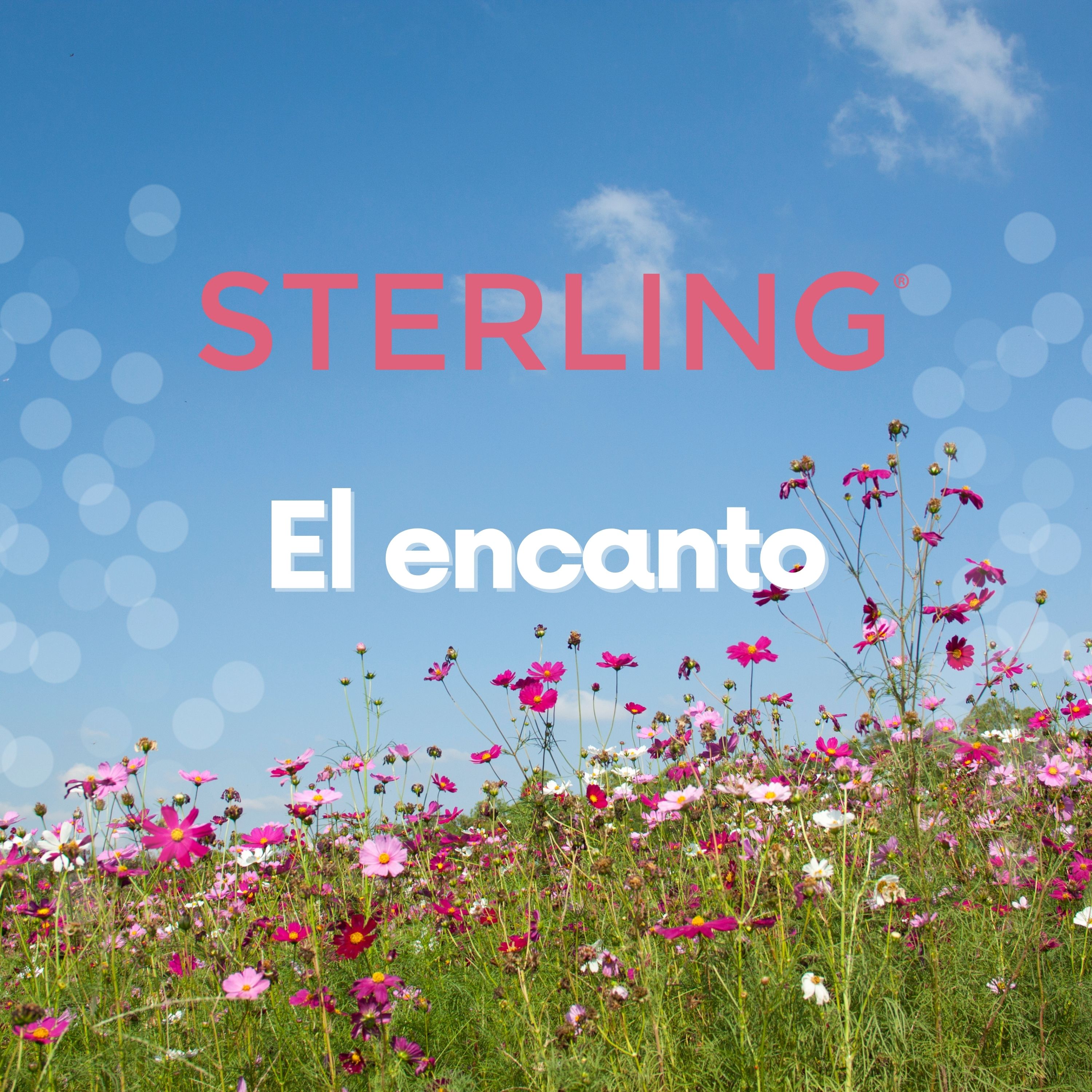 El Encanto artwork