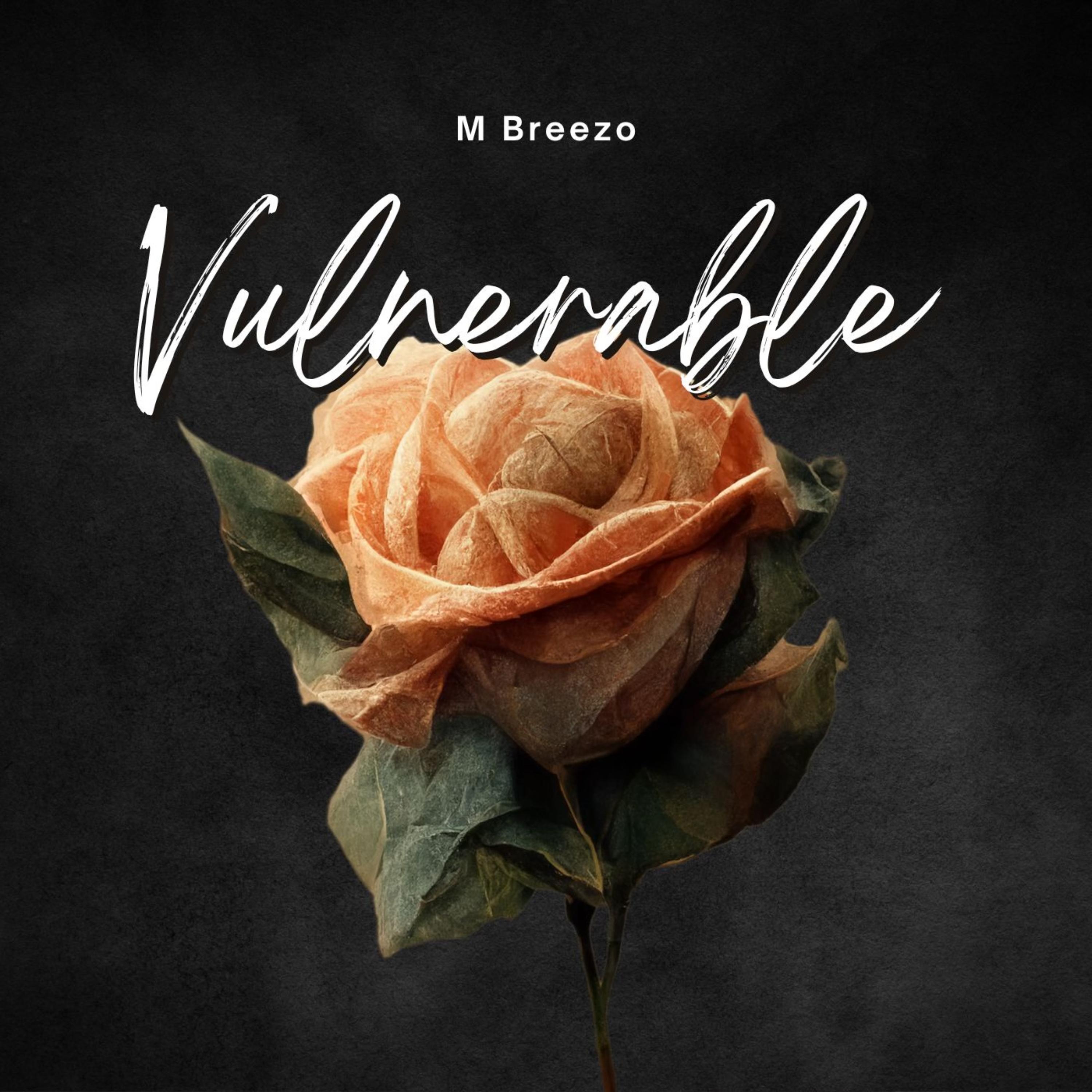 Vulnerable artwork