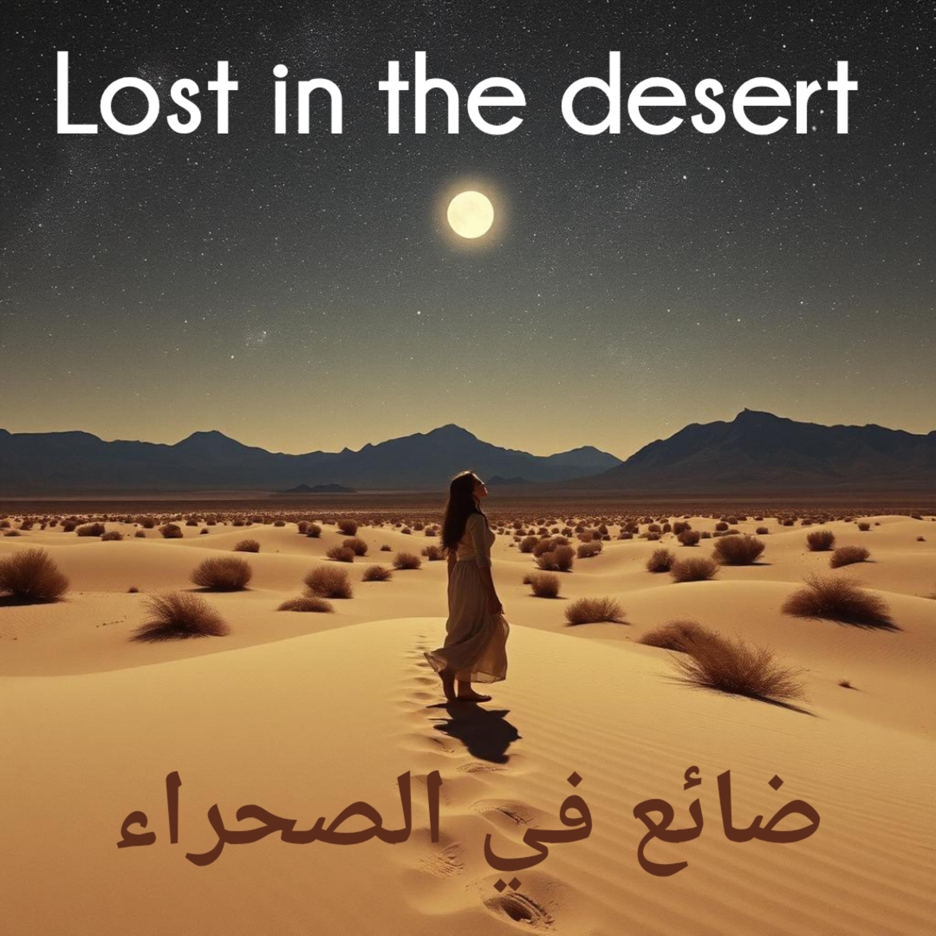 Lost in the Desert artwork