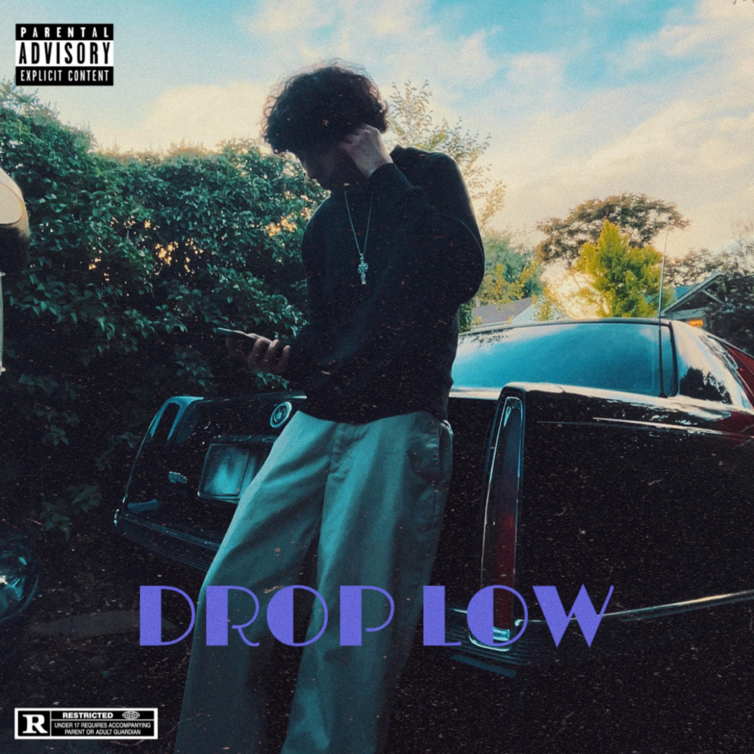 DROP LOW artwork