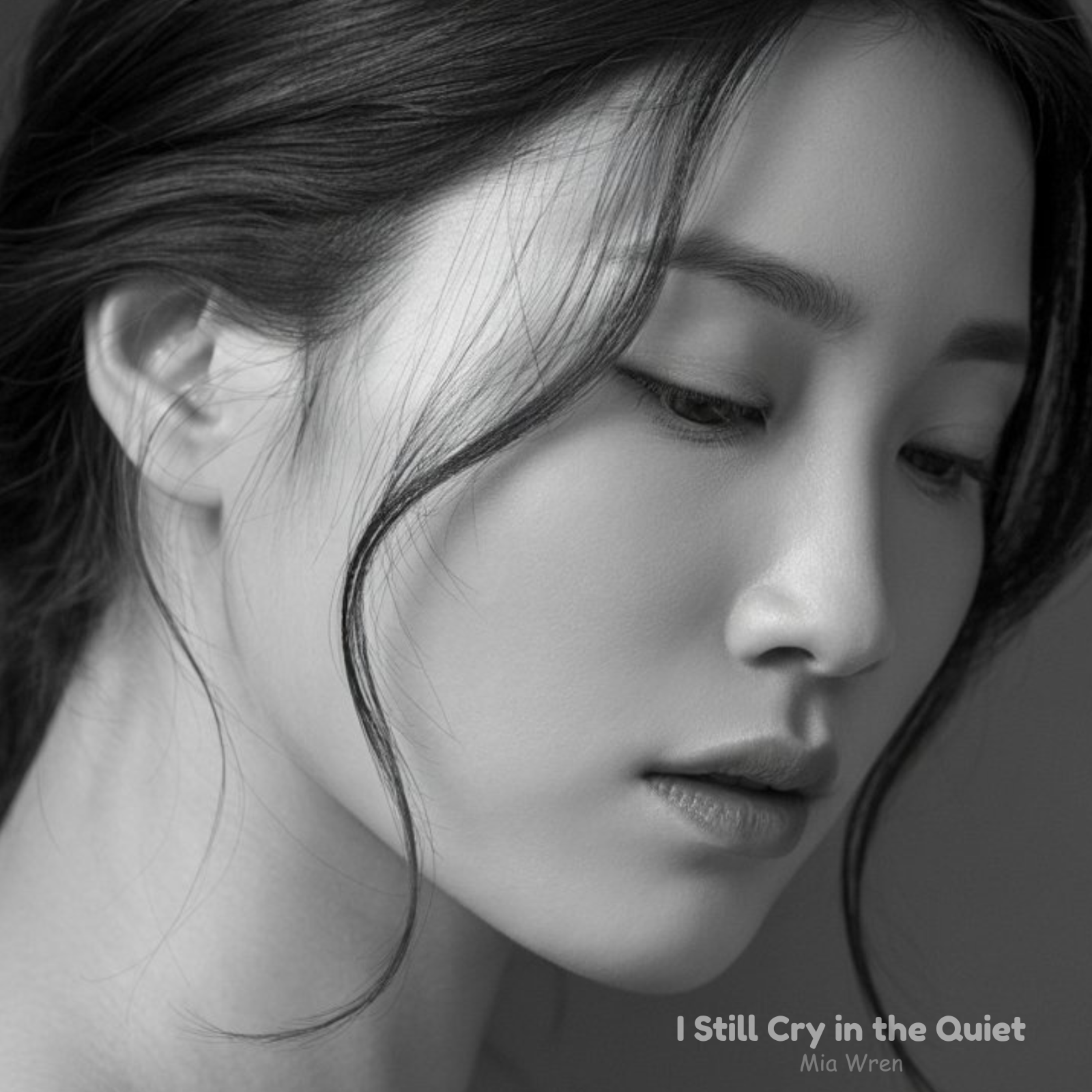 I Still Cry in the Quiet artwork
