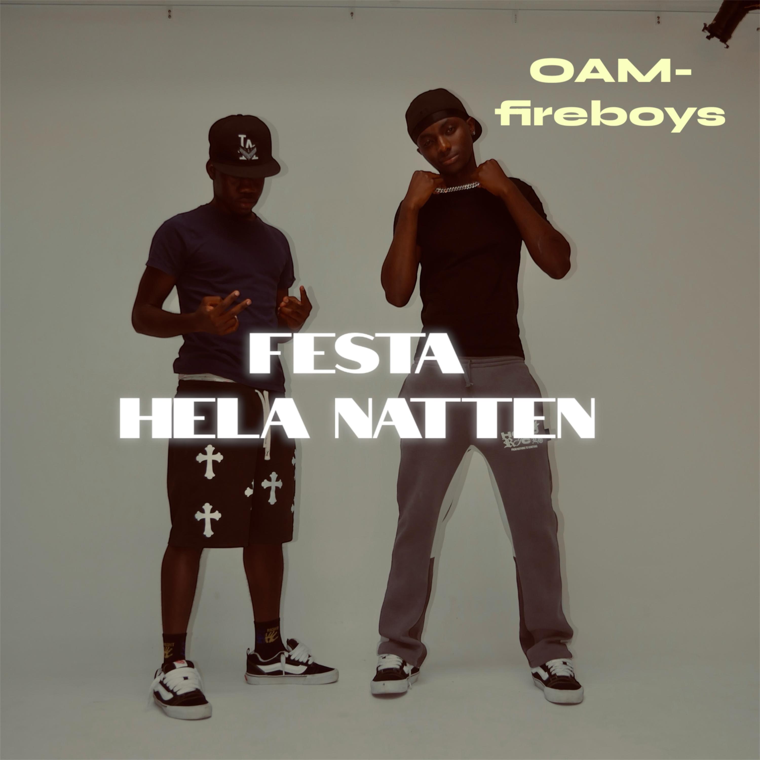 Festa Hela Natten artwork