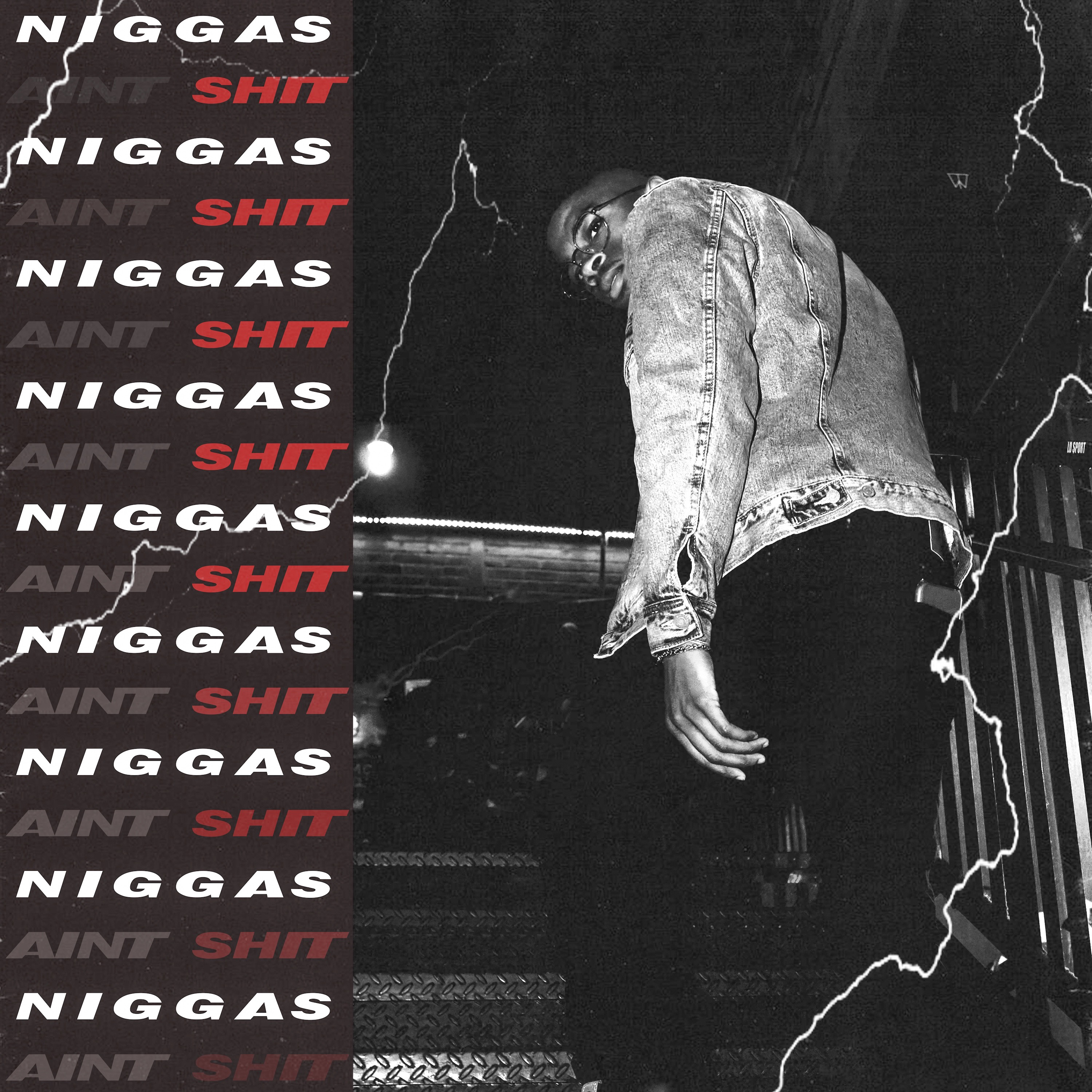 NIGGAS AINT SHIT artwork