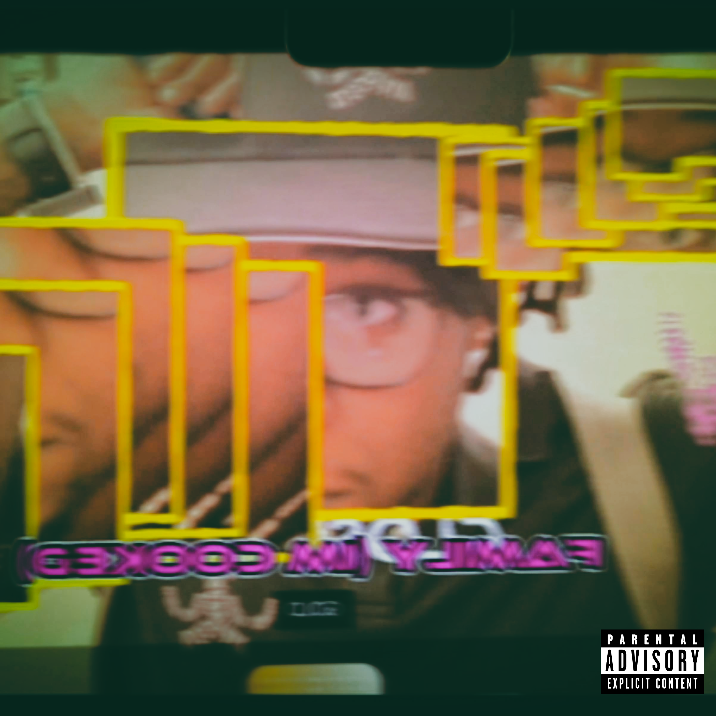 fmly(im cooked) by Sleepycoutain cover art